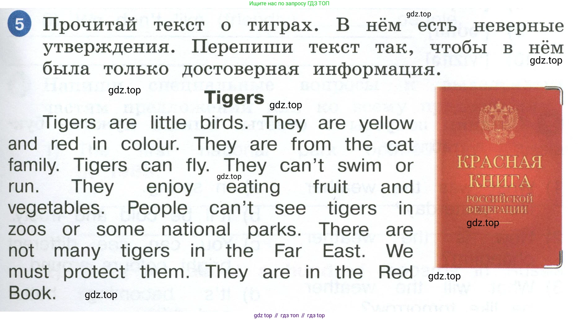 ГДЗ Английский язык (english), 4 класс рабочая тетрадь, авторы: Афанасьева Ольга Васильевна (Afanasyeva Olga), Баранова Ксения Михайловна (Baranova Ksenia), Михеева Ирина Владимировна (Mikheeva Irina), издательство Просвещение, Москва, 2024, красного цвета, Часть 2, страница 87, номер 5, Условие