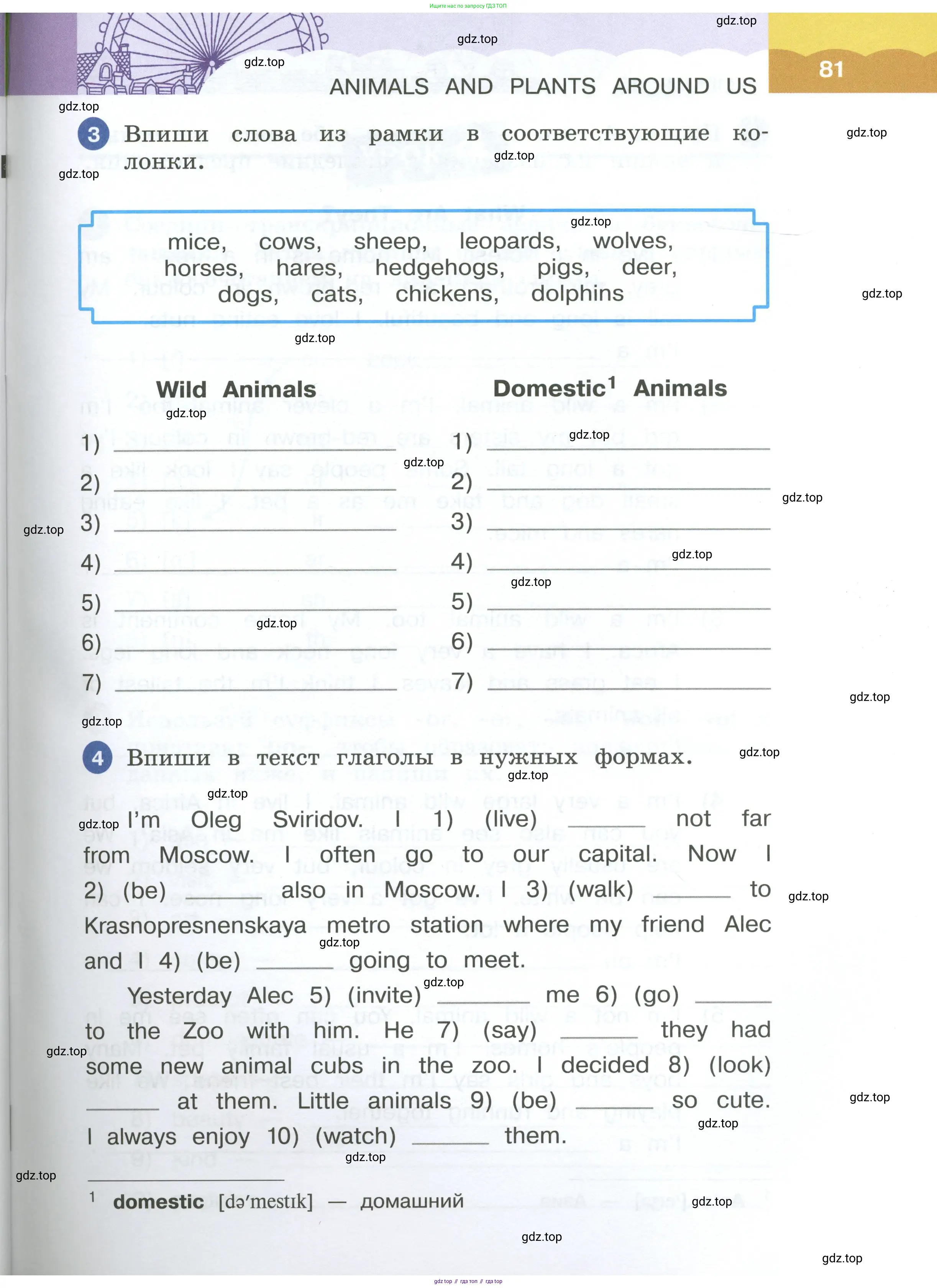 Английский язык (english), 4 класс рабочая тетрадь, авторы: Афанасьева Ольга Васильевна (Afanasyeva Olga), Баранова Ксения Михайловна (Baranova Ksenia), Михеева Ирина Владимировна (Mikheeva Irina), издательство Просвещение, Москва, 2024, красного цвета, Часть 1, страница 81