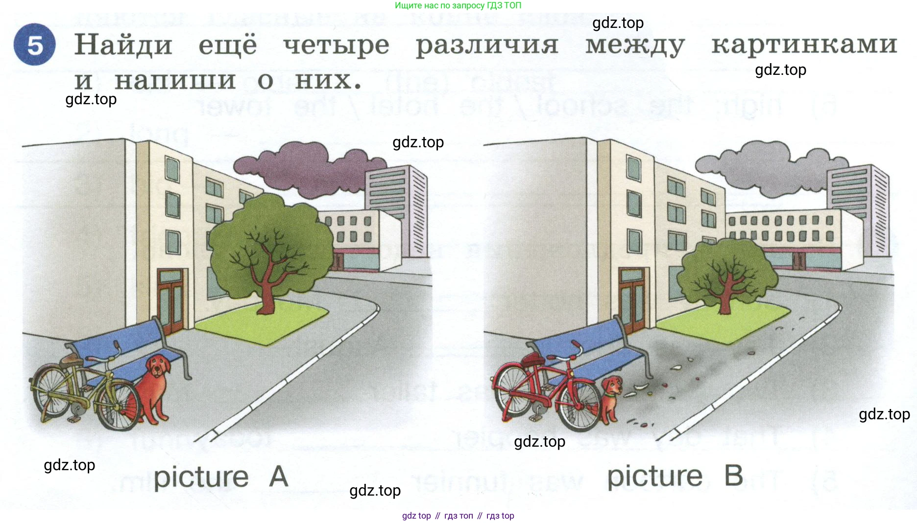 ГДЗ Английский язык (english), 4 класс рабочая тетрадь, авторы: Афанасьева Ольга Васильевна (Afanasyeva Olga), Баранова Ксения Михайловна (Baranova Ksenia), Михеева Ирина Владимировна (Mikheeva Irina), издательство Просвещение, Москва, 2024, красного цвета, Часть 1, страница 44, номер 5, Условие