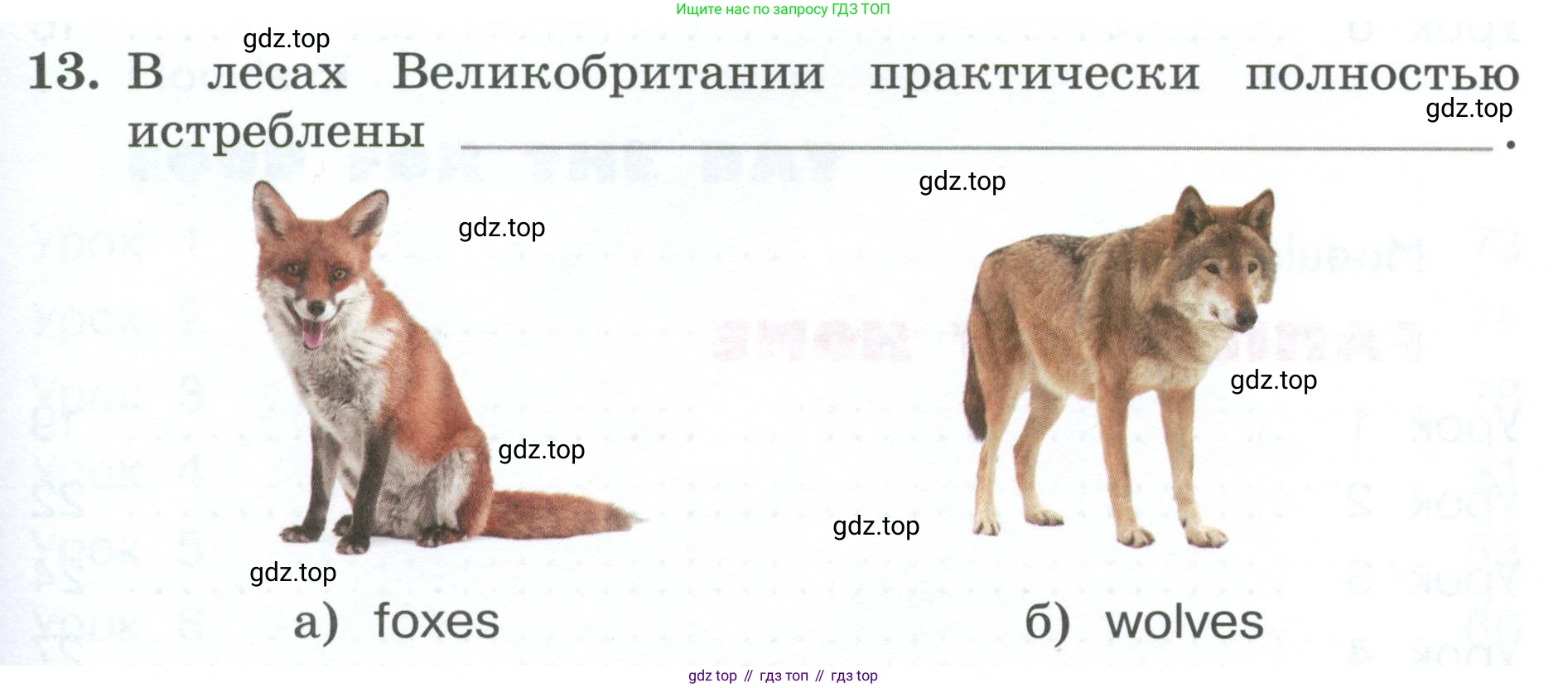 ГДЗ Английский язык (english), 4 класс рабочая тетрадь, авторы: Афанасьева Ольга Васильевна (Afanasyeva Olga), Баранова Ксения Михайловна (Baranova Ksenia), Михеева Ирина Владимировна (Mikheeva Irina), издательство Просвещение, Москва, 2024, красного цвета, Часть 1, страница 93, номер 13, Условие