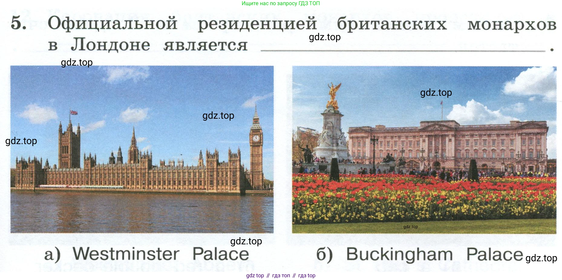 ГДЗ Английский язык (english), 4 класс рабочая тетрадь, авторы: Афанасьева Ольга Васильевна (Afanasyeva Olga), Баранова Ксения Михайловна (Baranova Ksenia), Михеева Ирина Владимировна (Mikheeva Irina), издательство Просвещение, Москва, 2024, красного цвета, Часть 1, страница 91, номер 5, Условие