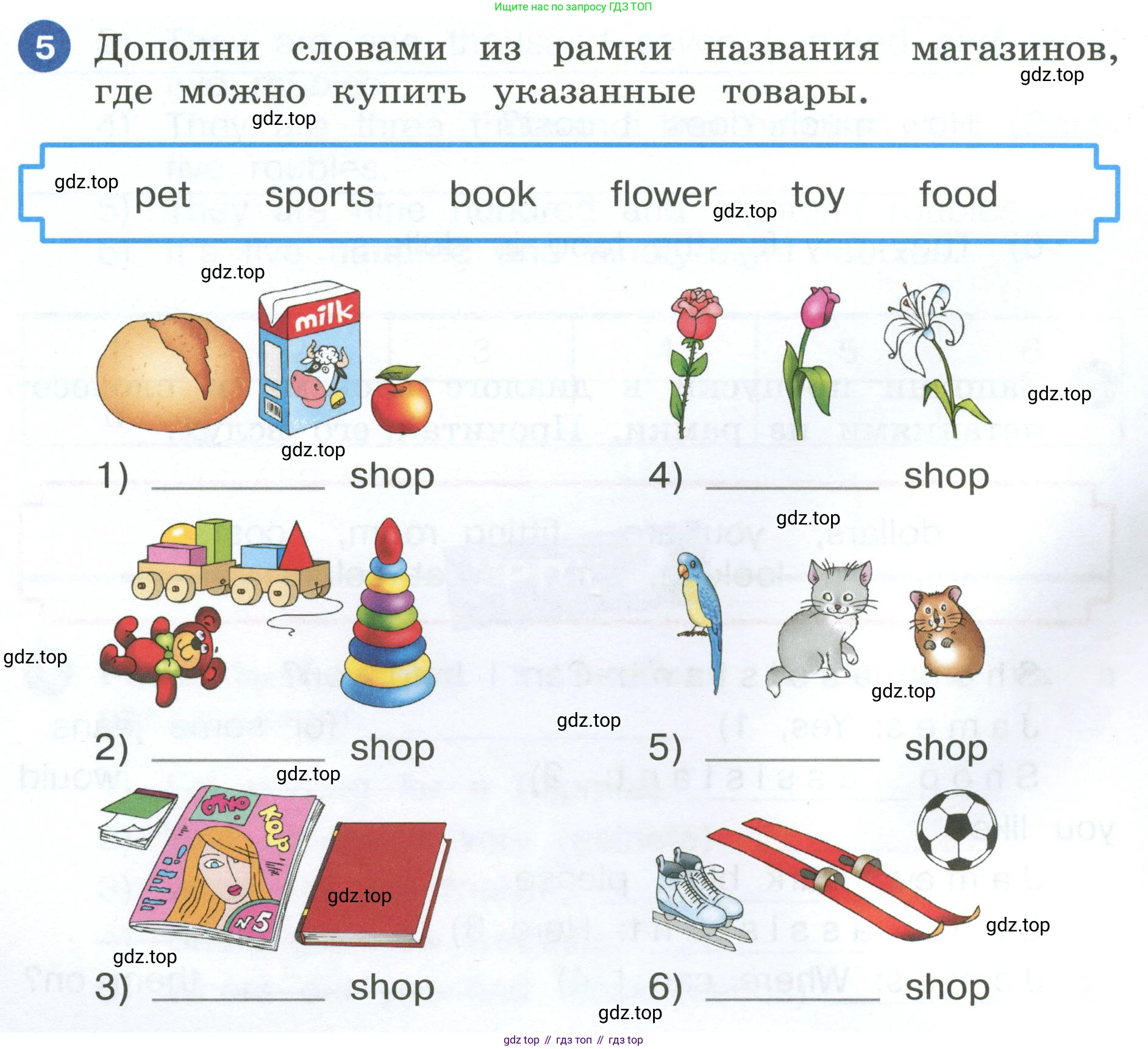 ГДЗ Английский язык (english), 4 класс рабочая тетрадь, авторы: Афанасьева Ольга Васильевна (Afanasyeva Olga), Баранова Ксения Михайловна (Baranova Ksenia), Михеева Ирина Владимировна (Mikheeva Irina), издательство Просвещение, Москва, 2024, красного цвета, Часть 2, страница 8, номер 5, Условие