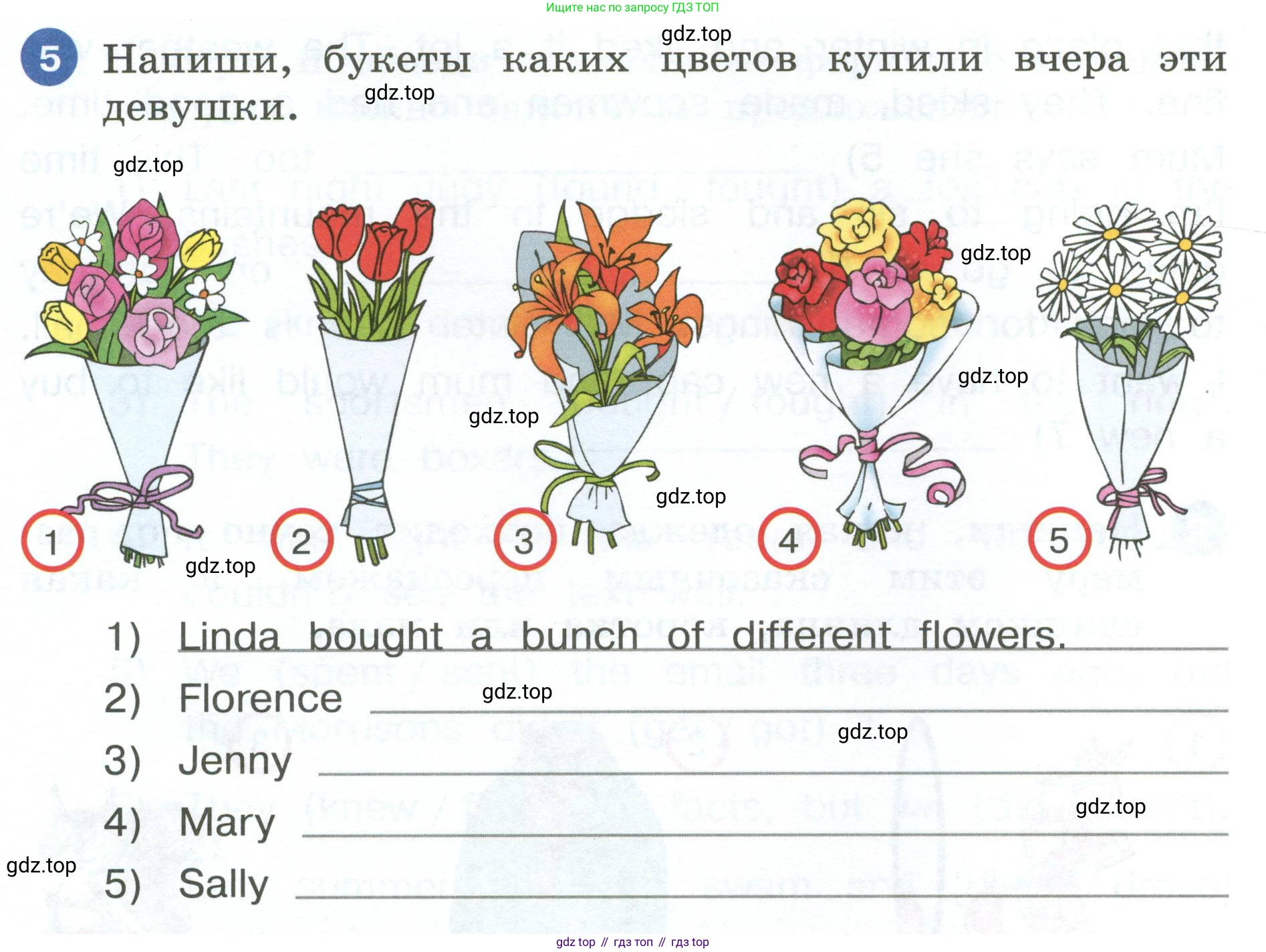 ГДЗ Английский язык (english), 4 класс рабочая тетрадь, авторы: Афанасьева Ольга Васильевна (Afanasyeva Olga), Баранова Ксения Михайловна (Baranova Ksenia), Михеева Ирина Владимировна (Mikheeva Irina), издательство Просвещение, Москва, 2024, красного цвета, Часть 2, страница 17, номер 5, Условие