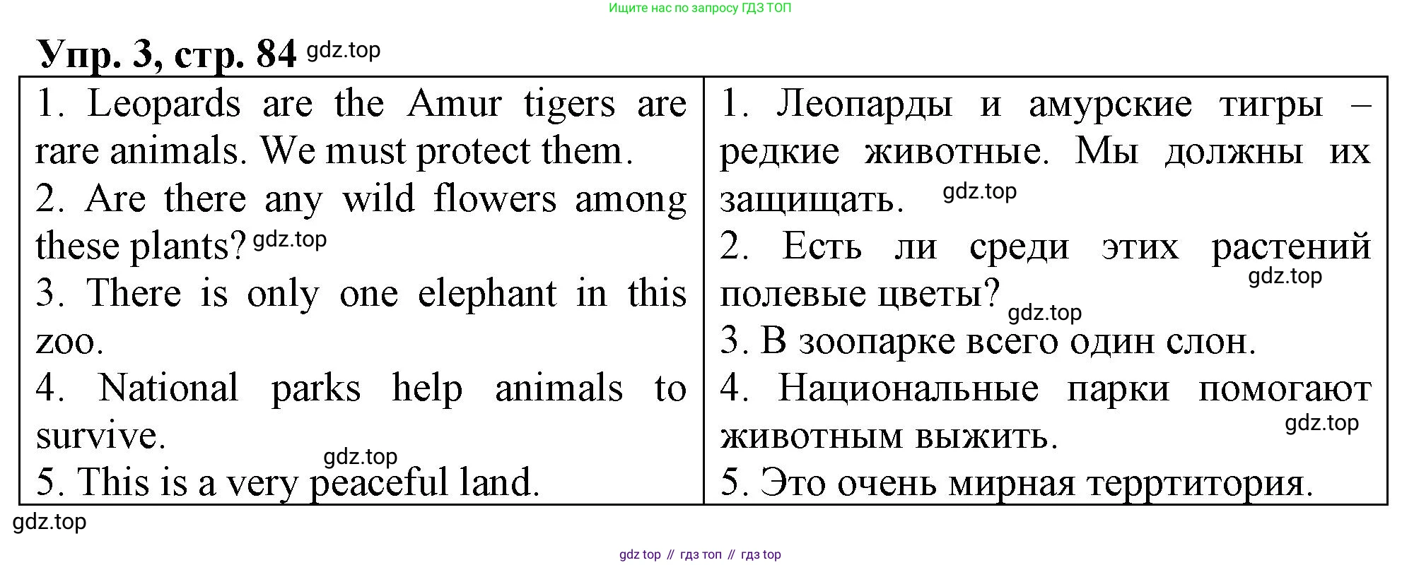 ГДЗ Английский язык (english), 4 класс рабочая тетрадь, авторы: Афанасьева Ольга Васильевна (Afanasyeva Olga), Баранова Ксения Михайловна (Baranova Ksenia), Михеева Ирина Владимировна (Mikheeva Irina), издательство Просвещение, Москва, 2024, красного цвета, Часть 2, страница 84, номер 3, Решение