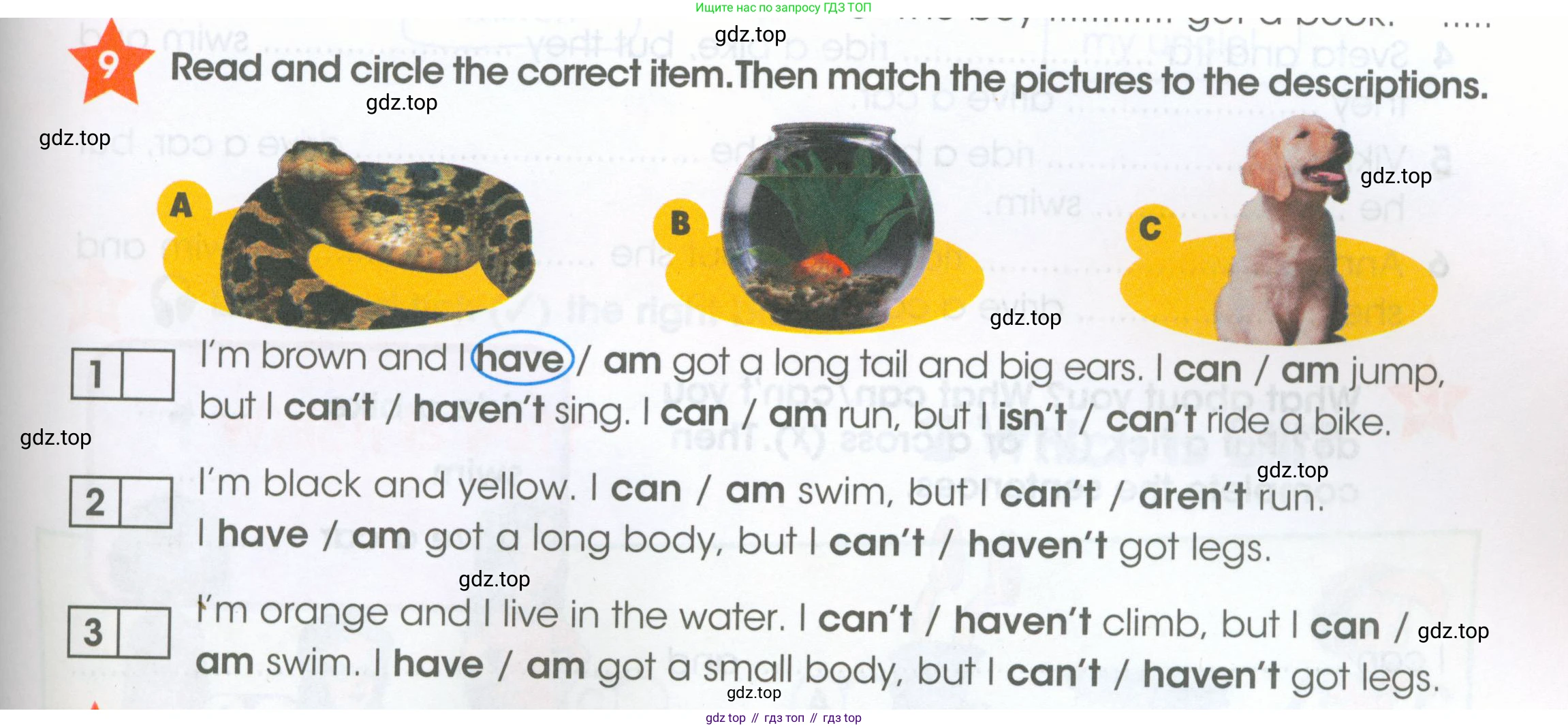 ГДЗ Английский язык (english), 4 класс Рабочая тетрадь (workbook), авторы: Баранова Ксения Михайловна (Baranova Ksenia), Бадулина Ольга Ивановна, Копылова Виктория Викторовна (Kopylova Victoria), Мильруд Радислав Петрович (Millrood Radislav), Эванс Вирджиния (Evans Virginia), издательство Просвещение, Москва, 2023, оранжевого цвета, Часть ( Part) 1, страница 7, номер 9, Условие