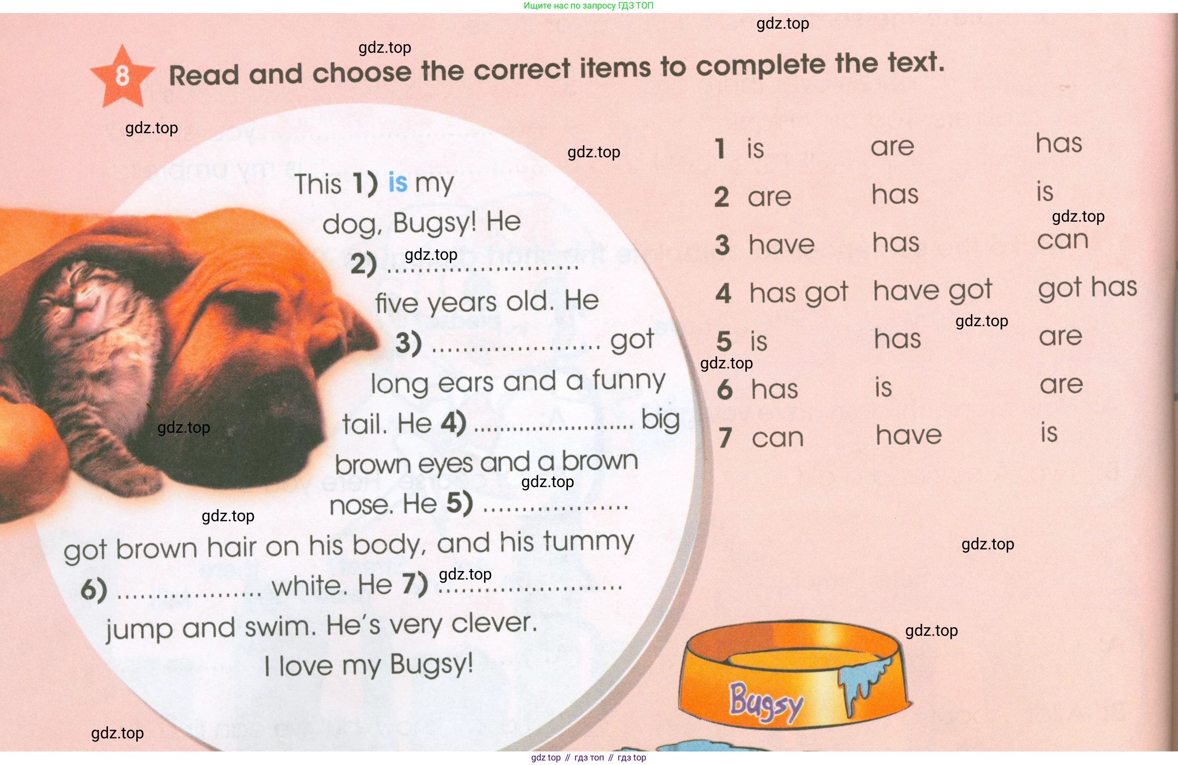 ГДЗ Английский язык (english), 4 класс Рабочая тетрадь (workbook), авторы: Баранова Ксения Михайловна (Baranova Ksenia), Бадулина Ольга Ивановна, Копылова Виктория Викторовна (Kopylova Victoria), Мильруд Радислав Петрович (Millrood Radislav), Эванс Вирджиния (Evans Virginia), издательство Просвещение, Москва, 2023, оранжевого цвета, Часть ( Part) 1, страница 52, номер 8, Условие