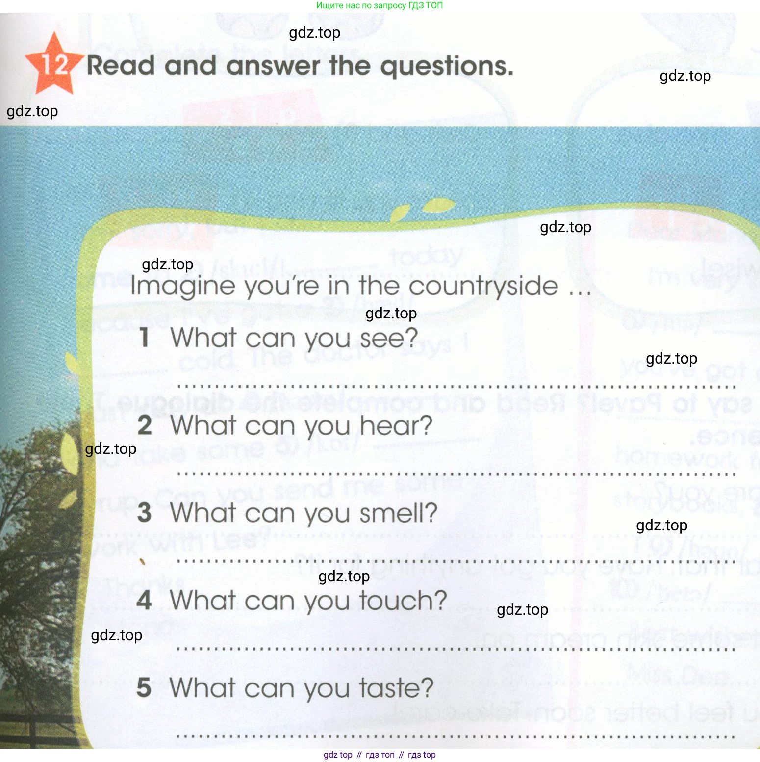 ГДЗ Английский язык (english), 4 класс Рабочая тетрадь (workbook), авторы: Баранова Ксения Михайловна (Baranova Ksenia), Бадулина Ольга Ивановна, Копылова Виктория Викторовна (Kopylova Victoria), Мильруд Радислав Петрович (Millrood Radislav), Эванс Вирджиния (Evans Virginia), издательство Просвещение, Москва, 2023, оранжевого цвета, Часть ( Part) 2, страница 9, номер 12, Условие