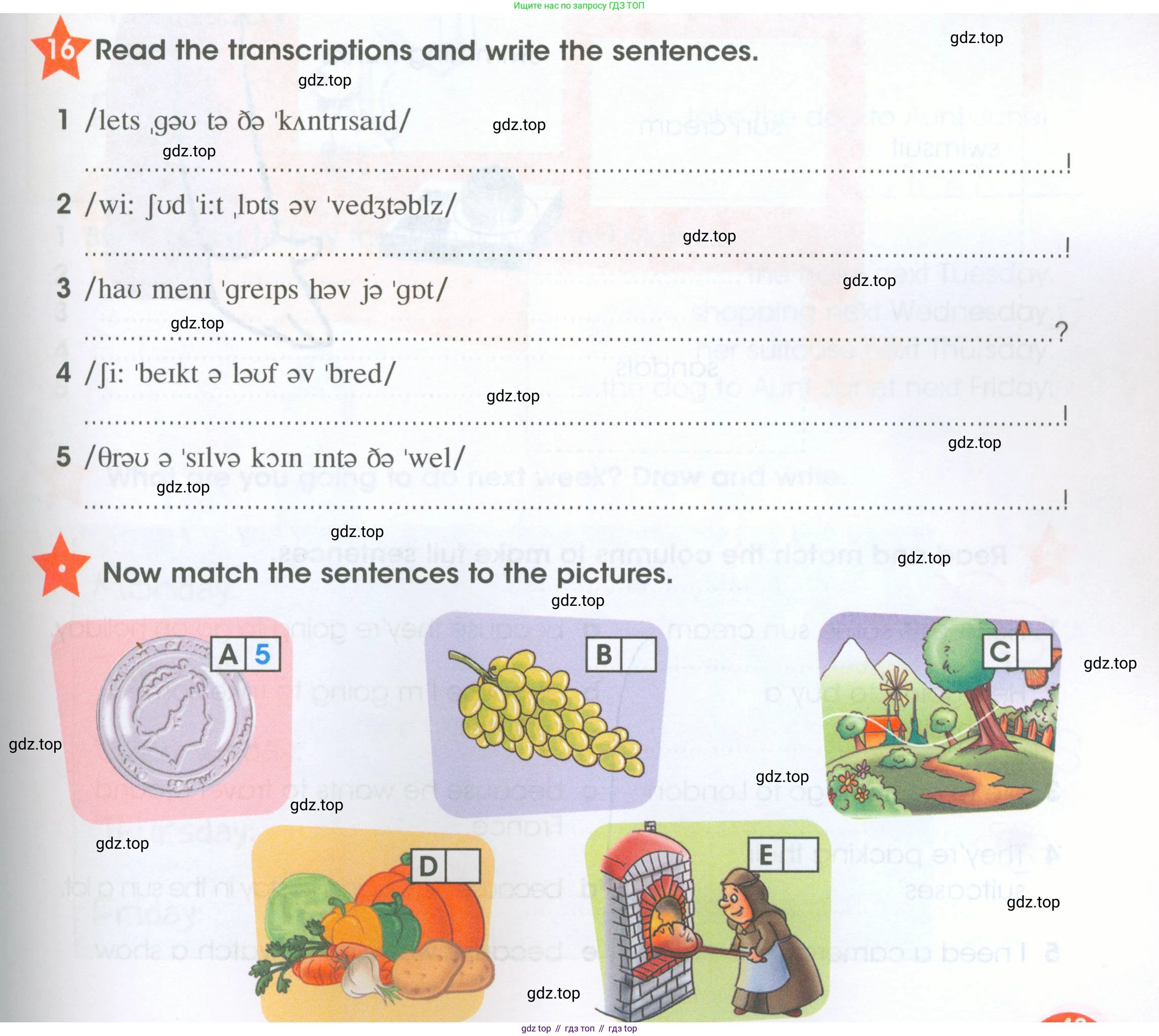 ГДЗ Английский язык (english), 4 класс Рабочая тетрадь (workbook), авторы: Баранова Ксения Михайловна (Baranova Ksenia), Бадулина Ольга Ивановна, Копылова Виктория Викторовна (Kopylova Victoria), Мильруд Радислав Петрович (Millrood Radislav), Эванс Вирджиния (Evans Virginia), издательство Просвещение, Москва, 2023, оранжевого цвета, Часть ( Part) 2, страница 43, номер 16, Условие
