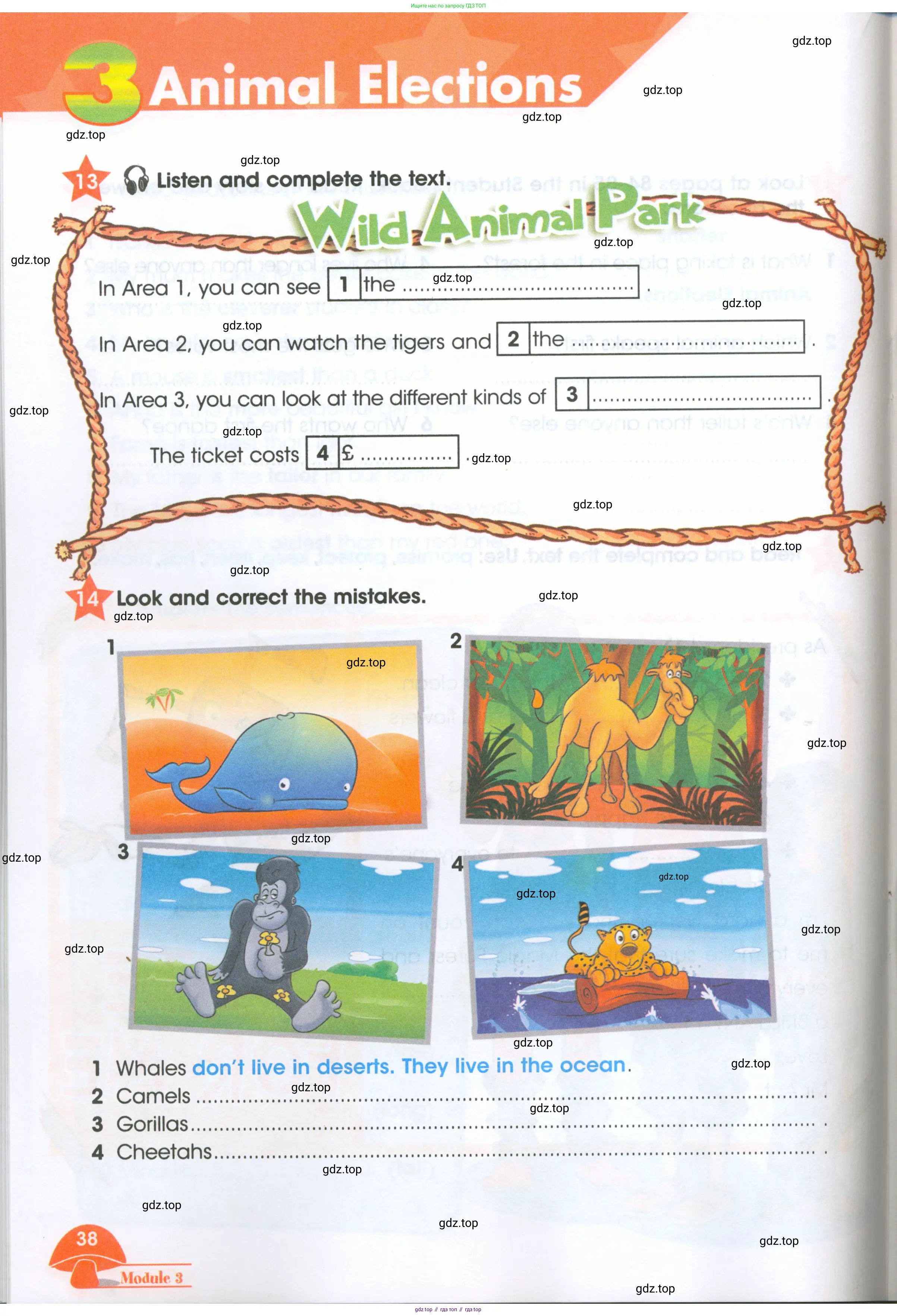 Английский язык (english), 4 класс Рабочая тетрадь (workbook), авторы: Баранова Ксения Михайловна (Baranova Ksenia), Бадулина Ольга Ивановна, Копылова Виктория Викторовна (Kopylova Victoria), Мильруд Радислав Петрович (Millrood Radislav), Эванс Вирджиния (Evans Virginia), издательство Просвещение, Москва, 2023, оранжевого цвета, Часть ( Part) 1, страница 38