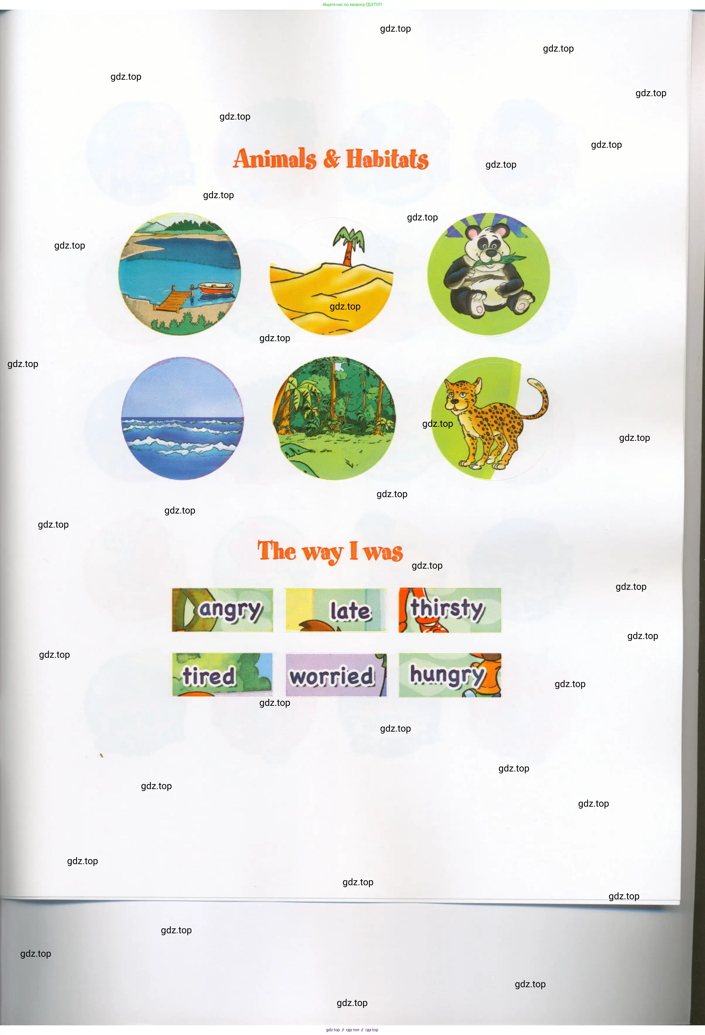 Английский язык (english), 4 класс Рабочая тетрадь (workbook), авторы: Баранова Ксения Михайловна (Baranova Ksenia), Бадулина Ольга Ивановна, Копылова Виктория Викторовна (Kopylova Victoria), Мильруд Радислав Петрович (Millrood Radislav), Эванс Вирджиния (Evans Virginia), издательство Просвещение, Москва, 2023, оранжевого цвета, страница 84