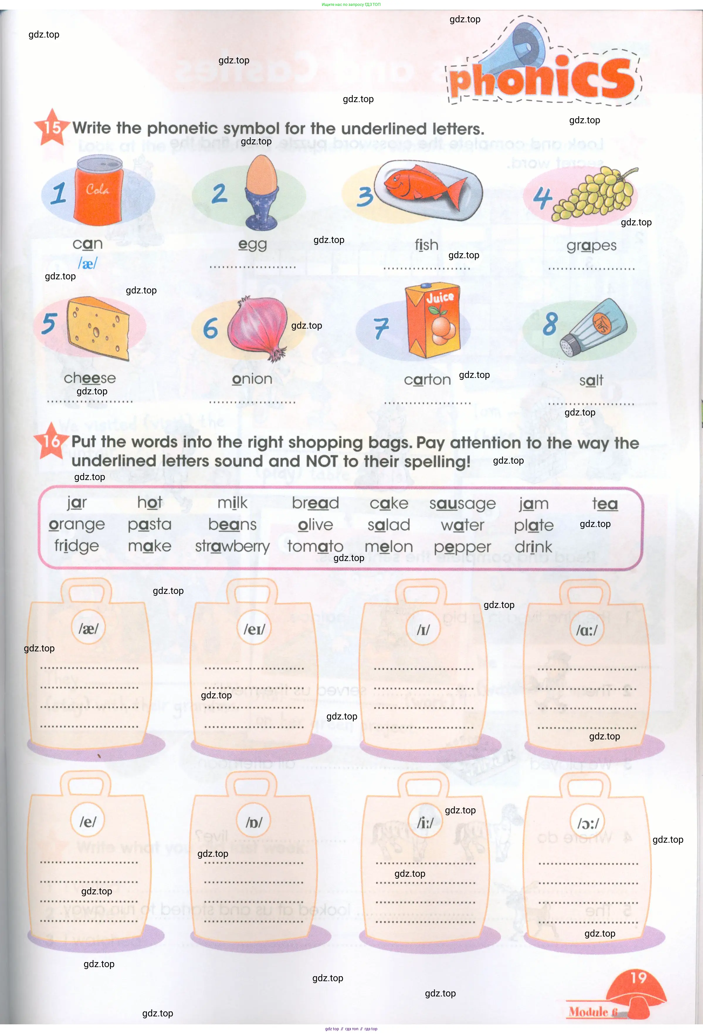 Английский язык (english), 4 класс Рабочая тетрадь (workbook), авторы: Баранова Ксения Михайловна (Baranova Ksenia), Бадулина Ольга Ивановна, Копылова Виктория Викторовна (Kopylova Victoria), Мильруд Радислав Петрович (Millrood Radislav), Эванс Вирджиния (Evans Virginia), издательство Просвещение, Москва, 2023, оранжевого цвета, Часть ( Part) 1, страница 19
