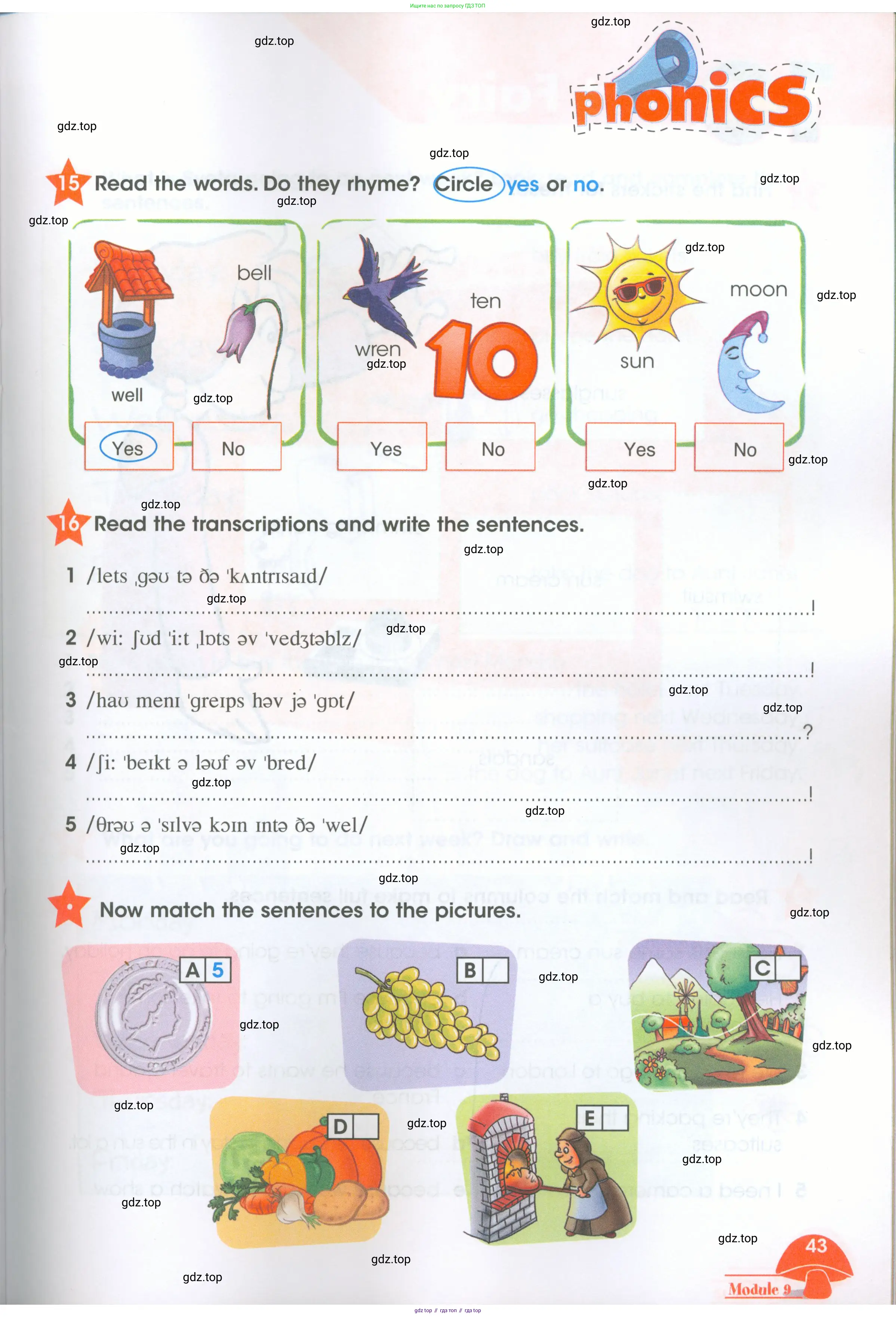 Английский язык (english), 4 класс Рабочая тетрадь (workbook), авторы: Баранова Ксения Михайловна (Baranova Ksenia), Бадулина Ольга Ивановна, Копылова Виктория Викторовна (Kopylova Victoria), Мильруд Радислав Петрович (Millrood Radislav), Эванс Вирджиния (Evans Virginia), издательство Просвещение, Москва, 2023, оранжевого цвета, Часть ( Part) 1, страница 43