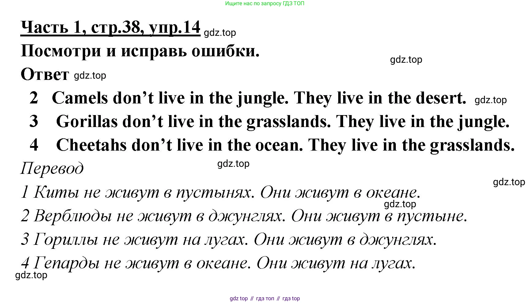 ГДЗ Английский язык (english), 4 класс Рабочая тетрадь (workbook), авторы: Баранова Ксения Михайловна (Baranova Ksenia), Бадулина Ольга Ивановна, Копылова Виктория Викторовна (Kopylova Victoria), Мильруд Радислав Петрович (Millrood Radislav), Эванс Вирджиния (Evans Virginia), издательство Просвещение, Москва, 2023, оранжевого цвета, Часть ( Part) 1, страница 38, номер 14, Решение