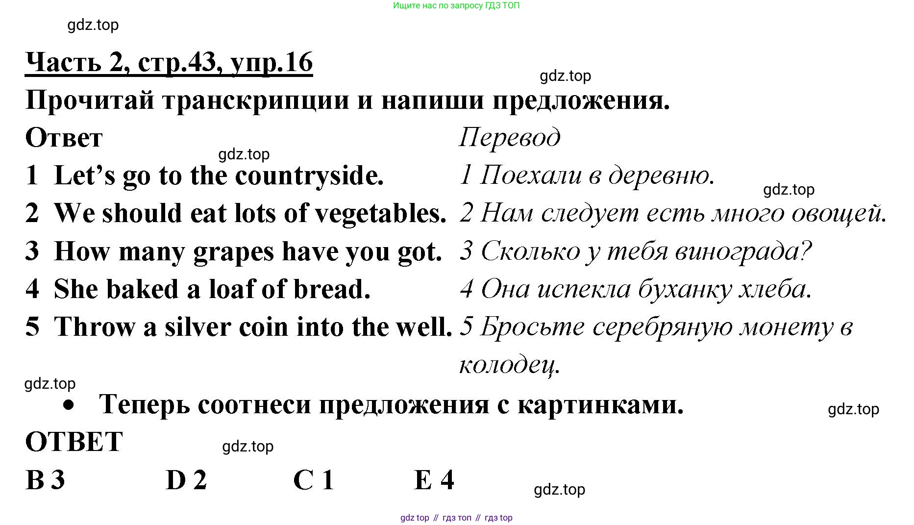 ГДЗ Английский язык (english), 4 класс Рабочая тетрадь (workbook), авторы: Баранова Ксения Михайловна (Baranova Ksenia), Бадулина Ольга Ивановна, Копылова Виктория Викторовна (Kopylova Victoria), Мильруд Радислав Петрович (Millrood Radislav), Эванс Вирджиния (Evans Virginia), издательство Просвещение, Москва, 2023, оранжевого цвета, Часть ( Part) 2, страница 43, номер 16, Решение