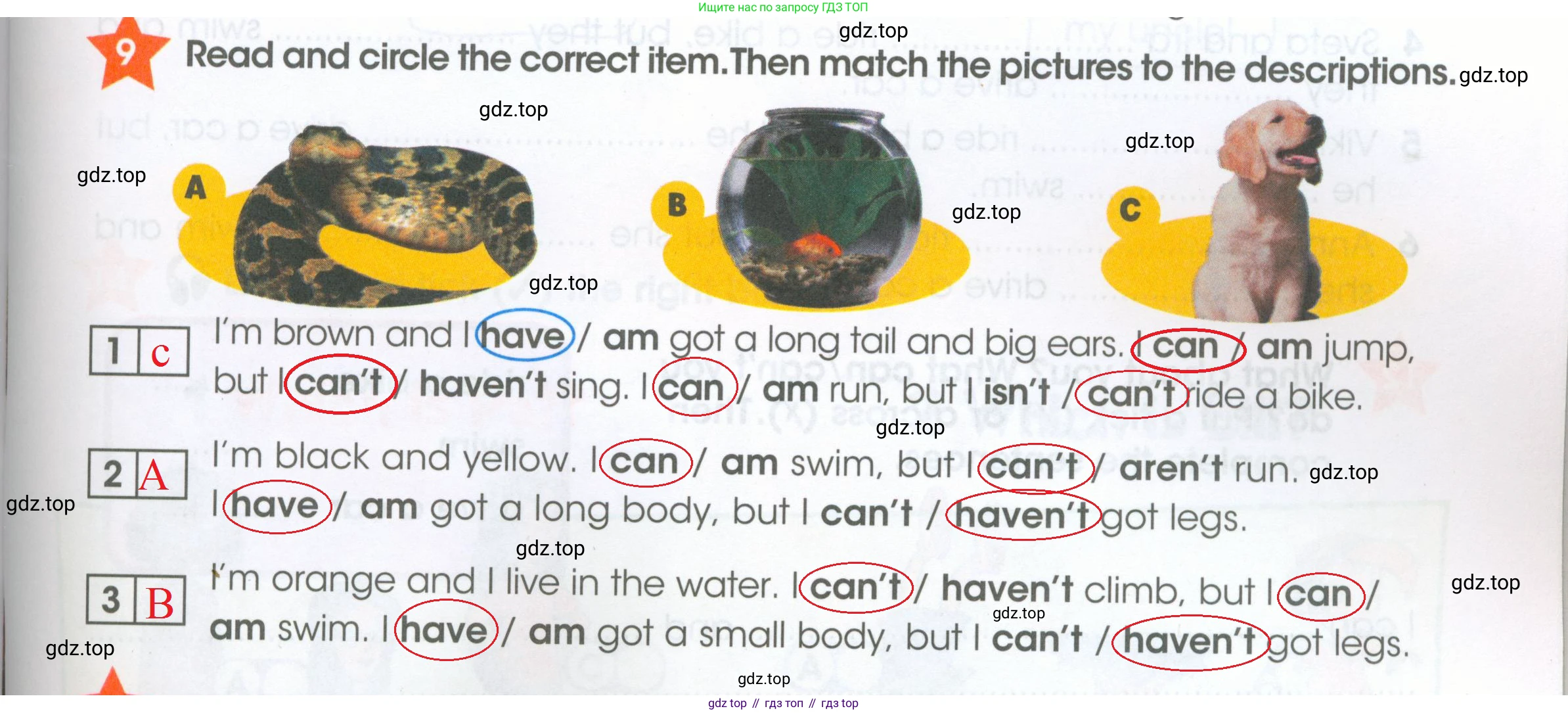 ГДЗ Английский язык (english), 4 класс Рабочая тетрадь (workbook), авторы: Баранова Ксения Михайловна (Baranova Ksenia), Бадулина Ольга Ивановна, Копылова Виктория Викторовна (Kopylova Victoria), Мильруд Радислав Петрович (Millrood Radislav), Эванс Вирджиния (Evans Virginia), издательство Просвещение, Москва, 2023, оранжевого цвета, Часть ( Part) 1, страница 7, номер 9, Решение 2