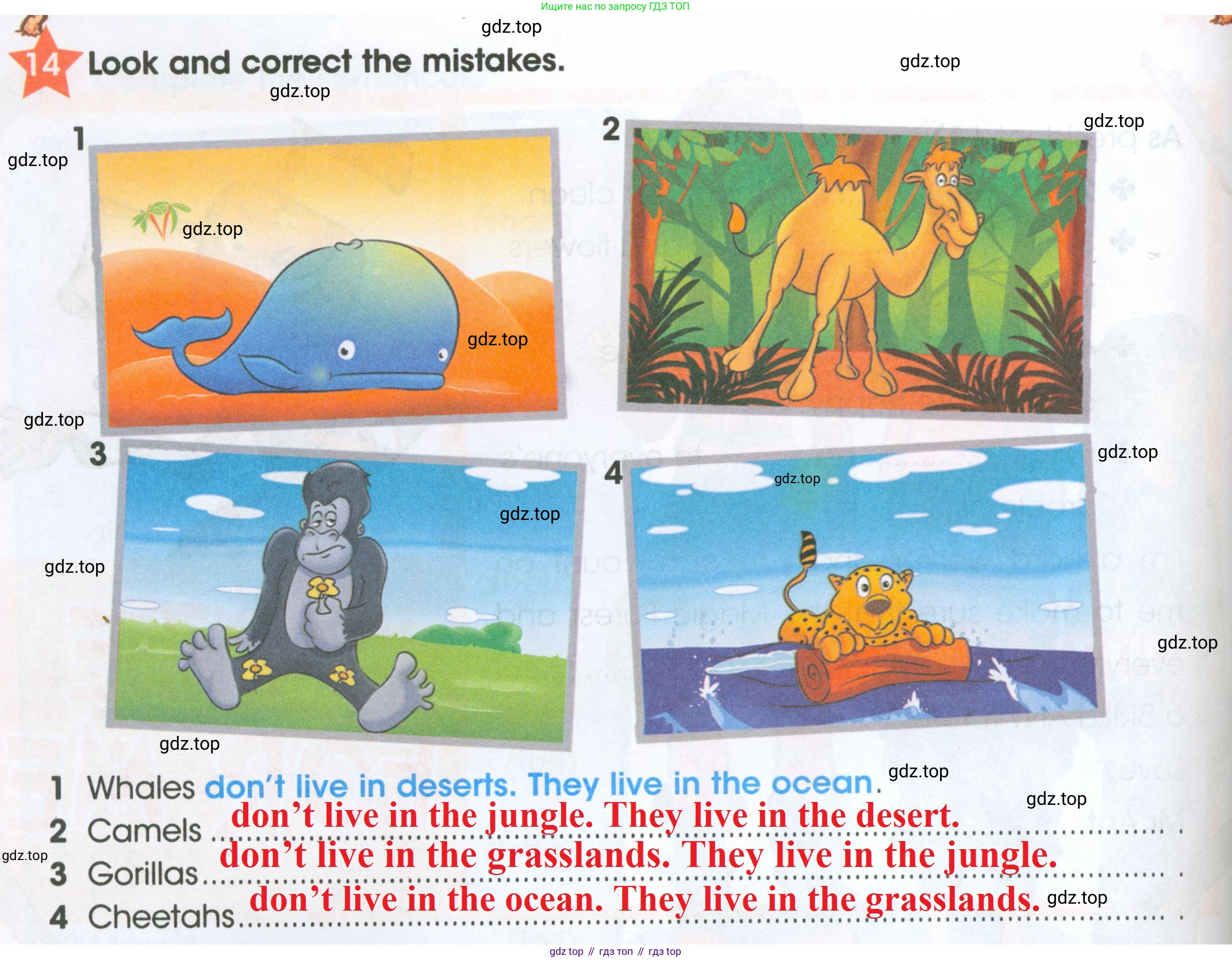 ГДЗ Английский язык (english), 4 класс Рабочая тетрадь (workbook), авторы: Баранова Ксения Михайловна (Baranova Ksenia), Бадулина Ольга Ивановна, Копылова Виктория Викторовна (Kopylova Victoria), Мильруд Радислав Петрович (Millrood Radislav), Эванс Вирджиния (Evans Virginia), издательство Просвещение, Москва, 2023, оранжевого цвета, Часть ( Part) 1, страница 38, номер 14, Решение 2