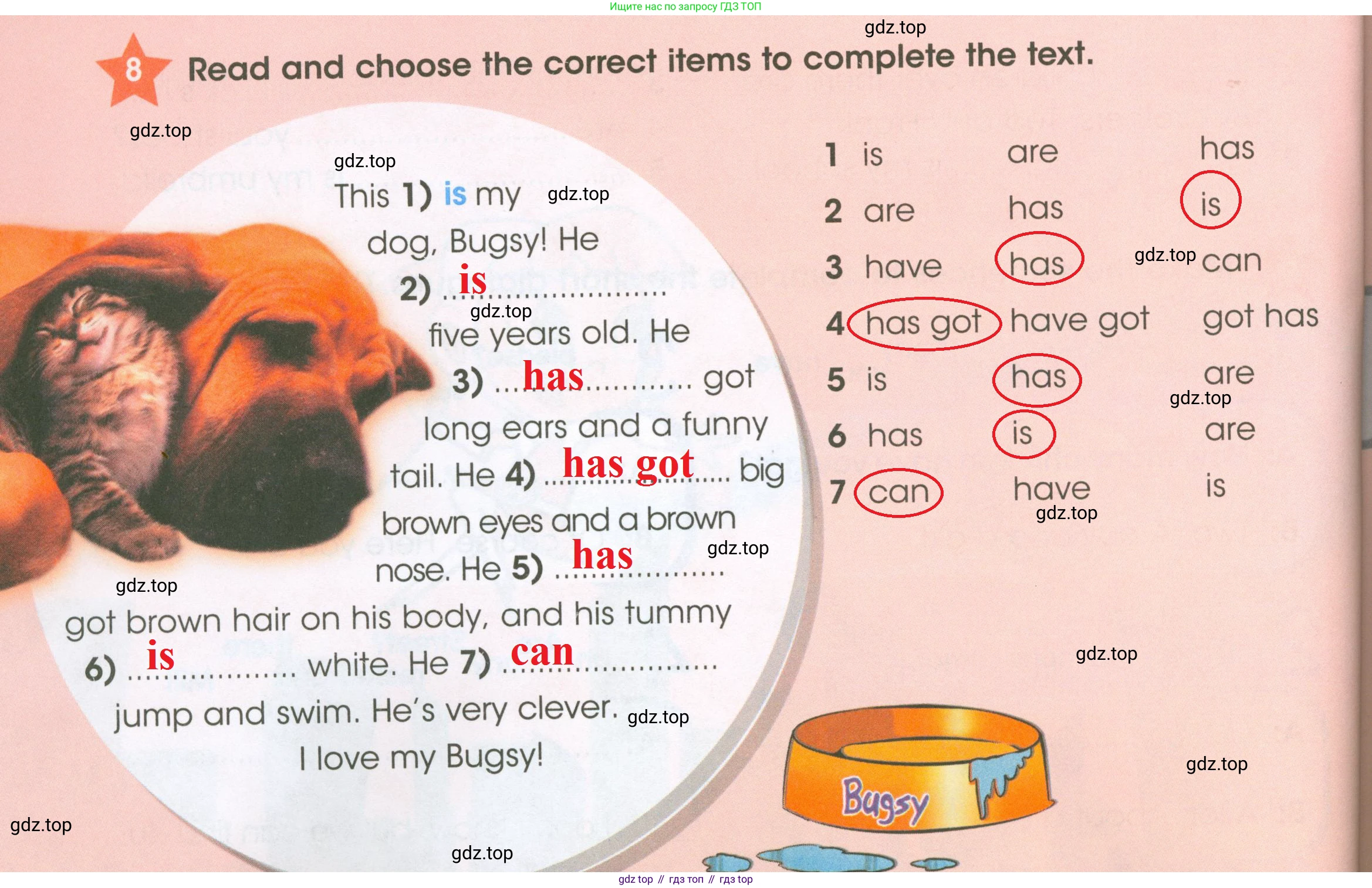 ГДЗ Английский язык (english), 4 класс Рабочая тетрадь (workbook), авторы: Баранова Ксения Михайловна (Baranova Ksenia), Бадулина Ольга Ивановна, Копылова Виктория Викторовна (Kopylova Victoria), Мильруд Радислав Петрович (Millrood Radislav), Эванс Вирджиния (Evans Virginia), издательство Просвещение, Москва, 2023, оранжевого цвета, Часть ( Part) 1, страница 52, номер 8, Решение 2
