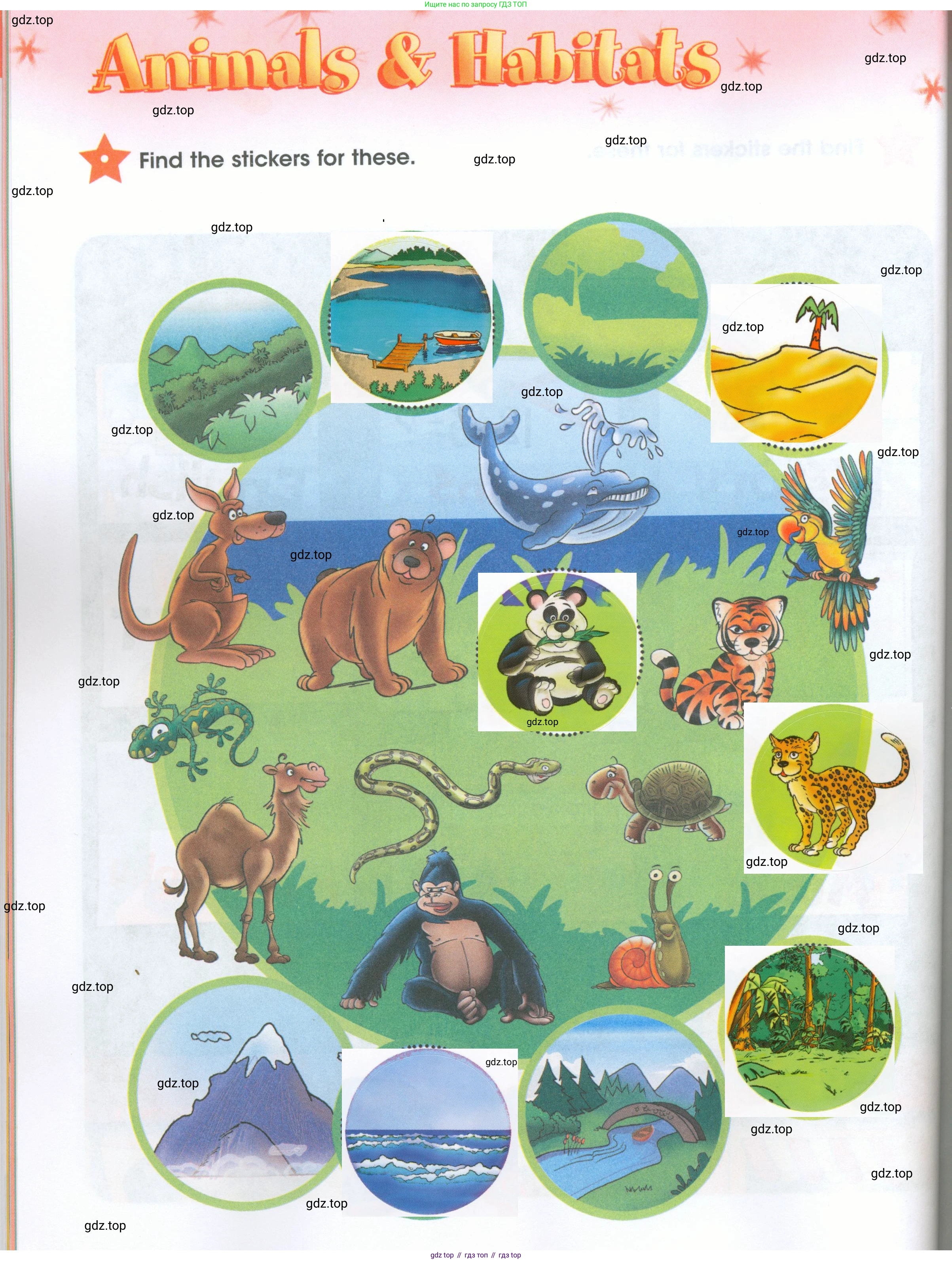 ГДЗ Английский язык (english), 4 класс Рабочая тетрадь (workbook), авторы: Баранова Ксения Михайловна (Baranova Ksenia), Бадулина Ольга Ивановна, Копылова Виктория Викторовна (Kopylova Victoria), Мильруд Радислав Петрович (Millrood Radislav), Эванс Вирджиния (Evans Virginia), издательство Просвещение, Москва, 2023, оранжевого цвета, Часть ( Part) 1, страница 68, Решение 2