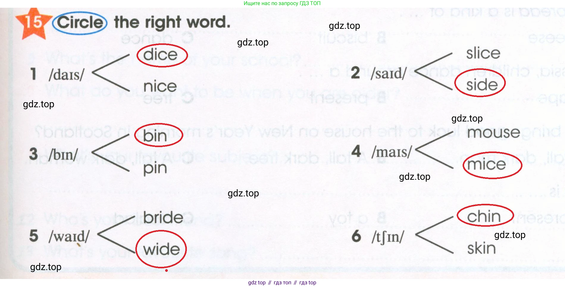 ГДЗ Английский язык (english), 4 класс Рабочая тетрадь (workbook), авторы: Баранова Ксения Михайловна (Baranova Ksenia), Бадулина Ольга Ивановна, Копылова Виктория Викторовна (Kopylova Victoria), Мильруд Радислав Петрович (Millrood Radislav), Эванс Вирджиния (Evans Virginia), издательство Просвещение, Москва, 2023, оранжевого цвета, Часть ( Part) 1, страница 47, номер 15, Решение 2