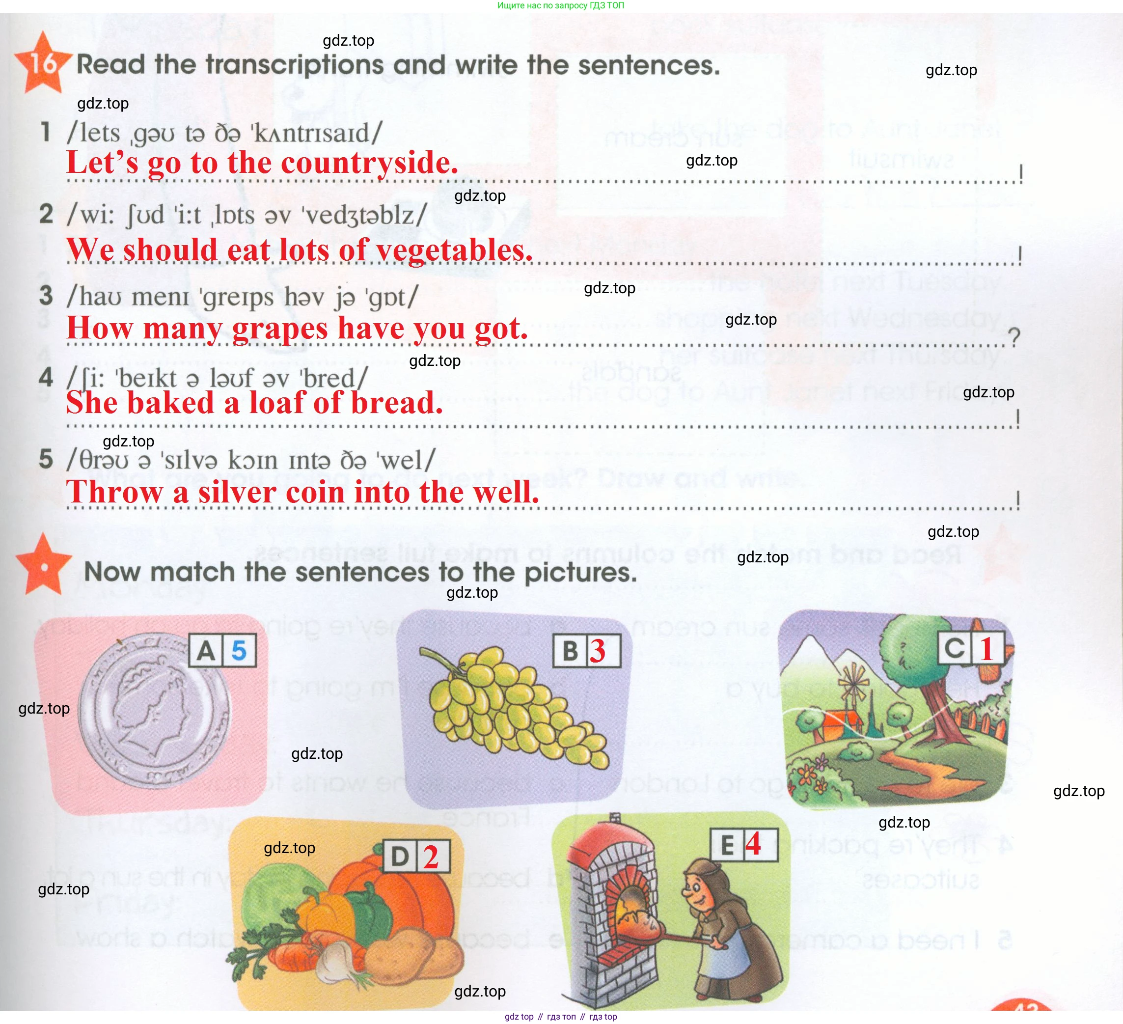 ГДЗ Английский язык (english), 4 класс Рабочая тетрадь (workbook), авторы: Баранова Ксения Михайловна (Baranova Ksenia), Бадулина Ольга Ивановна, Копылова Виктория Викторовна (Kopylova Victoria), Мильруд Радислав Петрович (Millrood Radislav), Эванс Вирджиния (Evans Virginia), издательство Просвещение, Москва, 2023, оранжевого цвета, Часть ( Part) 2, страница 43, номер 16, Решение 2