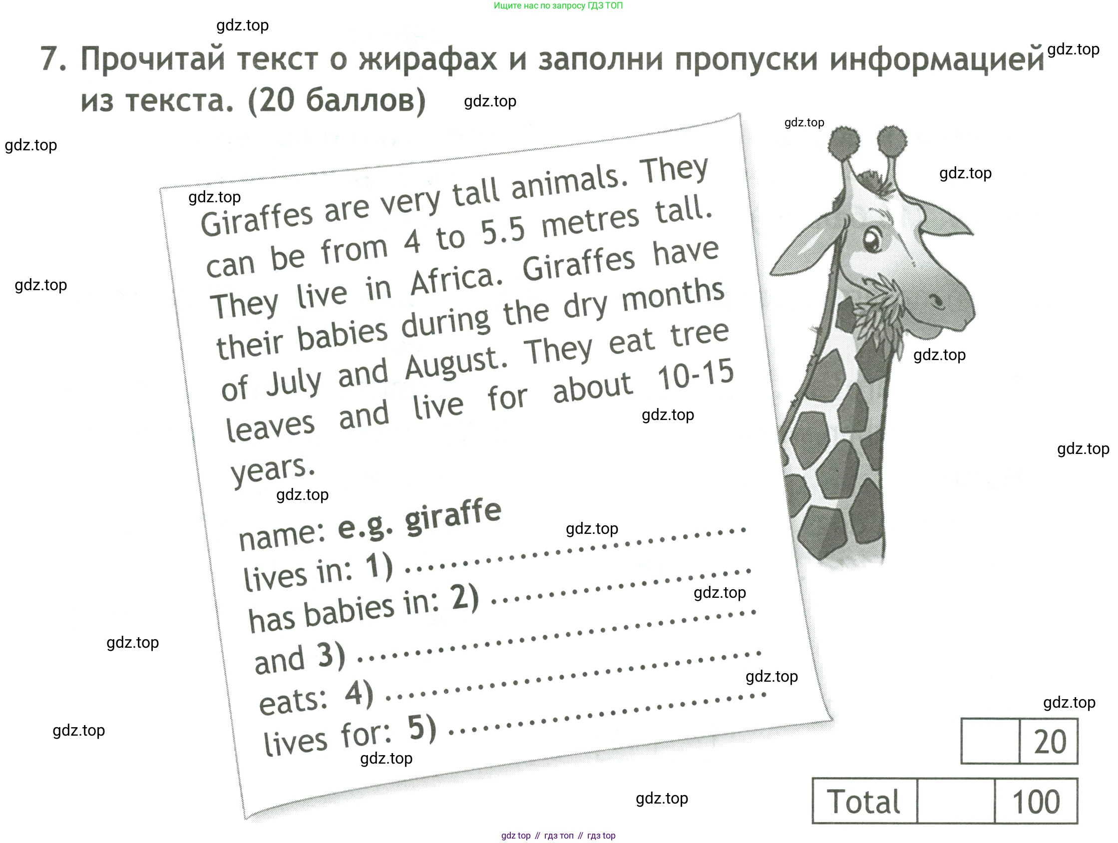 ГДЗ Английский язык (english), 4 класс контрольные задания (test booklet), авторы: Быкова Надежда Ильинична (Bykova Nadezhda), Дули Дженни (Dooley Jenny), Поспелова Марина Давидовна (Pospelova Marina), Эванс Вирджиния (Evans Virginia), издательство Просвещение, Москва, 2023, оранжевого цвета, страница 30, номер 7, Условие