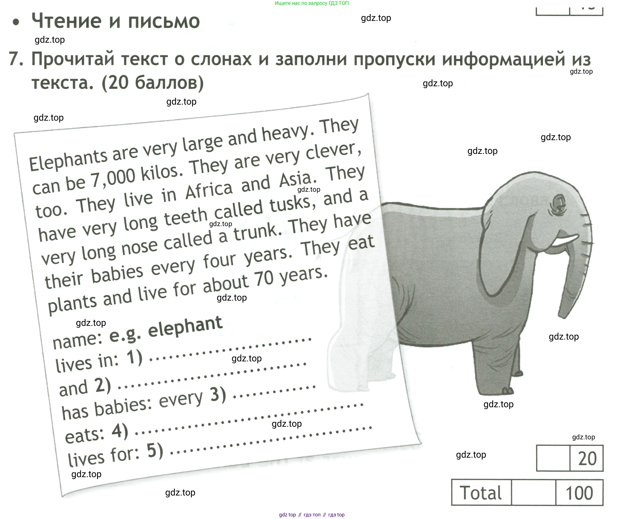 ГДЗ Английский язык (english), 4 класс контрольные задания (test booklet), авторы: Быкова Надежда Ильинична (Bykova Nadezhda), Дули Дженни (Dooley Jenny), Поспелова Марина Давидовна (Pospelova Marina), Эванс Вирджиния (Evans Virginia), издательство Просвещение, Москва, 2023, оранжевого цвета, страница 33, номер 7, Условие