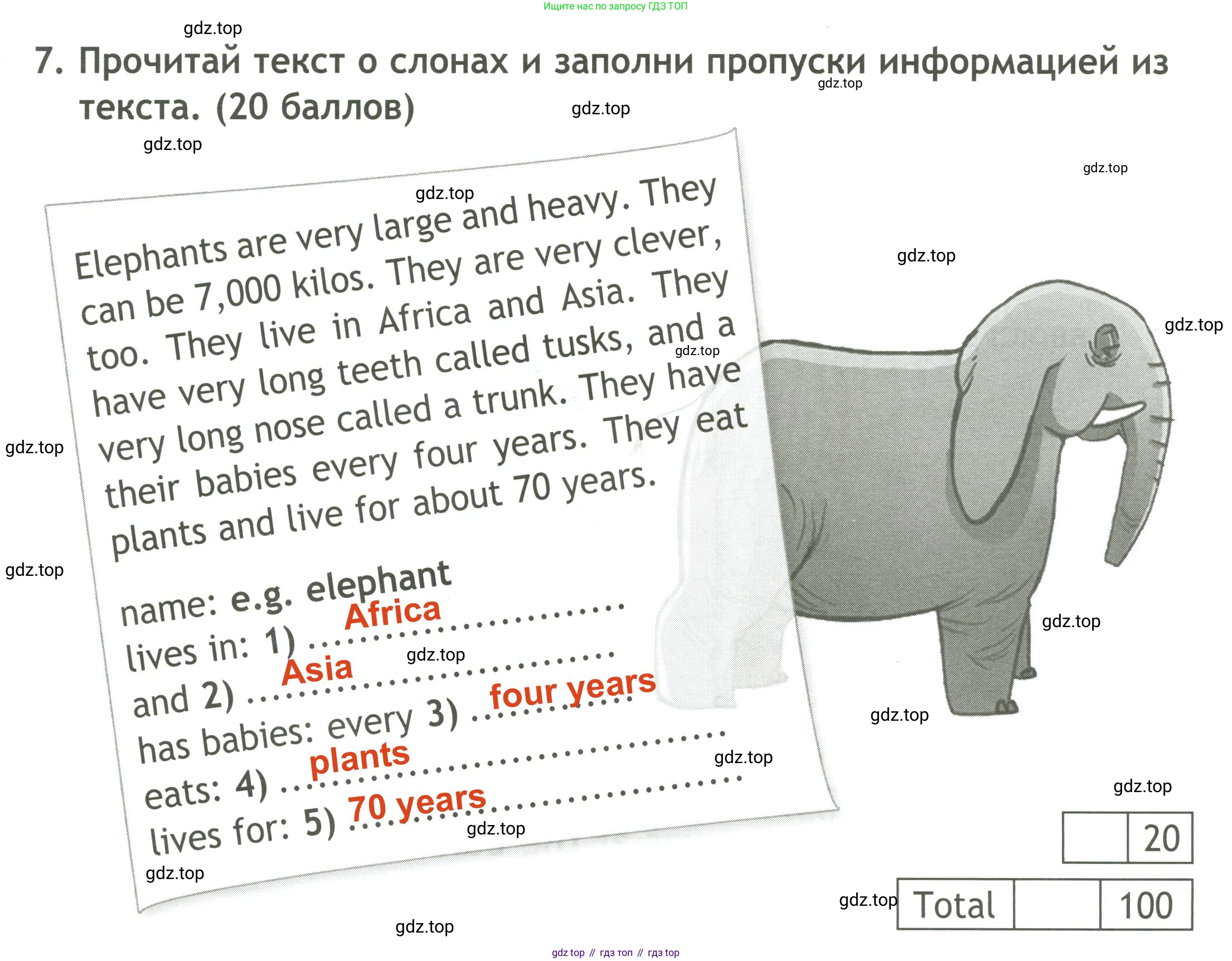 ГДЗ Английский язык (english), 4 класс контрольные задания (test booklet), авторы: Быкова Надежда Ильинична (Bykova Nadezhda), Дули Дженни (Dooley Jenny), Поспелова Марина Давидовна (Pospelova Marina), Эванс Вирджиния (Evans Virginia), издательство Просвещение, Москва, 2023, оранжевого цвета, страница 33, номер 7, Решение 3