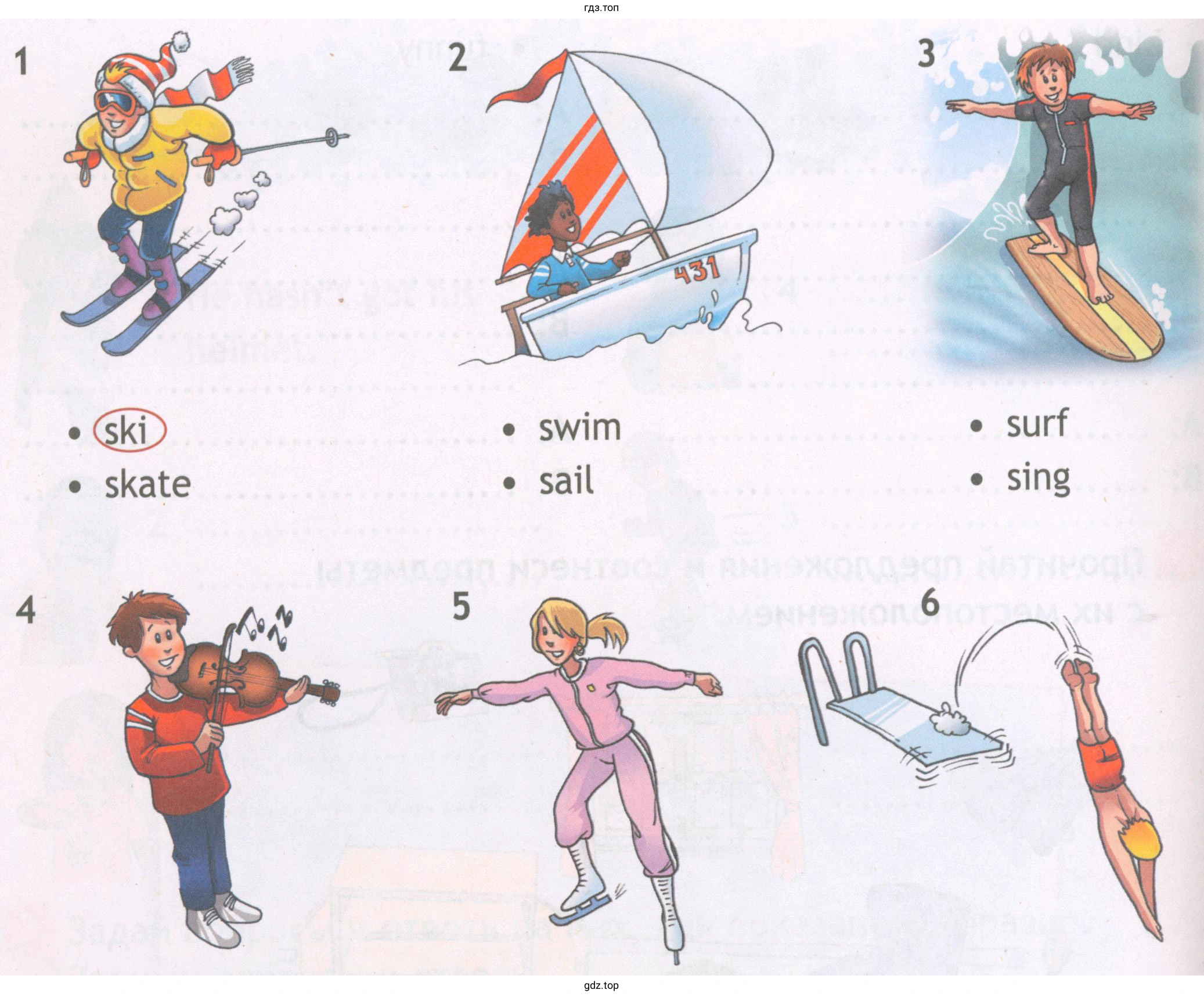 ski skate swim sail surf sing