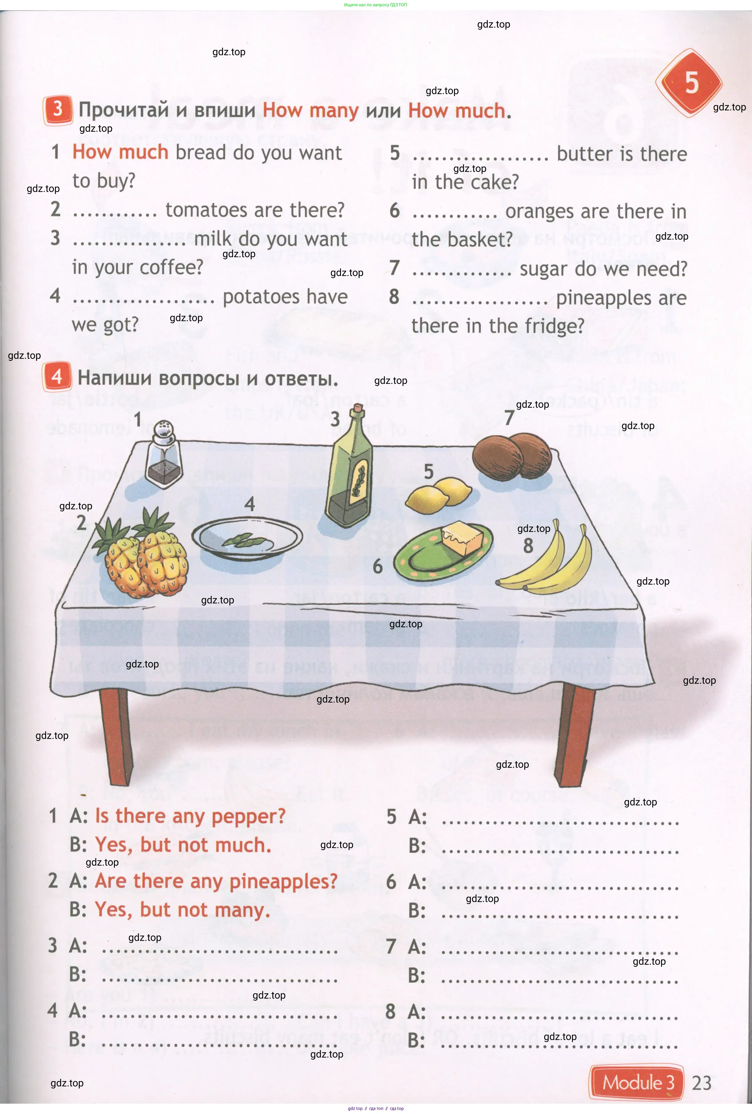 Английский язык (english), 4 класс Рабочая тетрадь (workbook), авторы: Быкова Надежда Ильинична (Bykova Nadezhda), Дули Дженни (Dooley Jenny), Поспелова Марина Давидовна (Pospelova Marina), Эванс Вирджиния (Evans Virginia), издательство Просвещение, Москва, 2023, красного цвета, страница 23