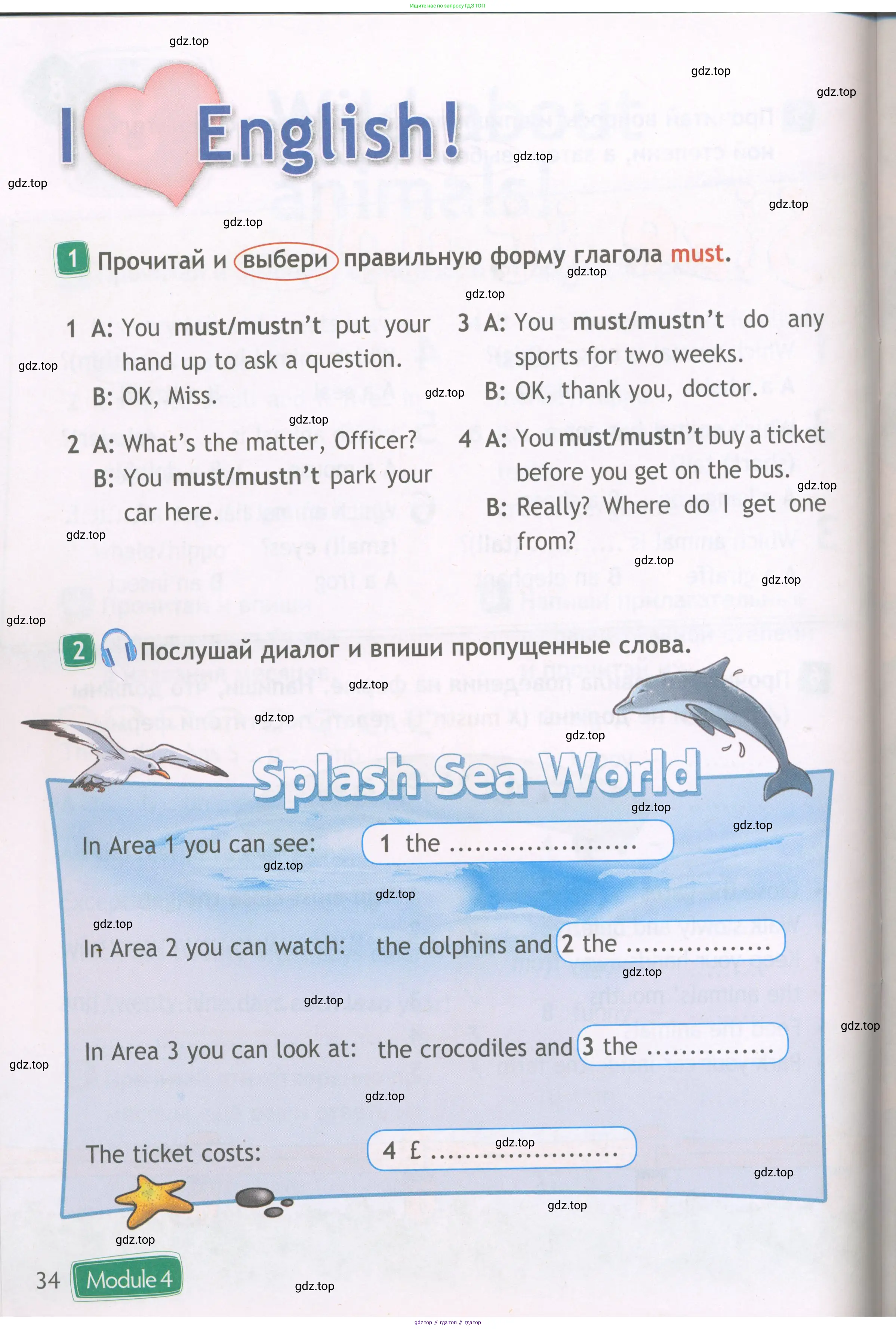 Английский язык (english), 4 класс Рабочая тетрадь (workbook), авторы: Быкова Надежда Ильинична (Bykova Nadezhda), Дули Дженни (Dooley Jenny), Поспелова Марина Давидовна (Pospelova Marina), Эванс Вирджиния (Evans Virginia), издательство Просвещение, Москва, 2023, красного цвета, страница 34