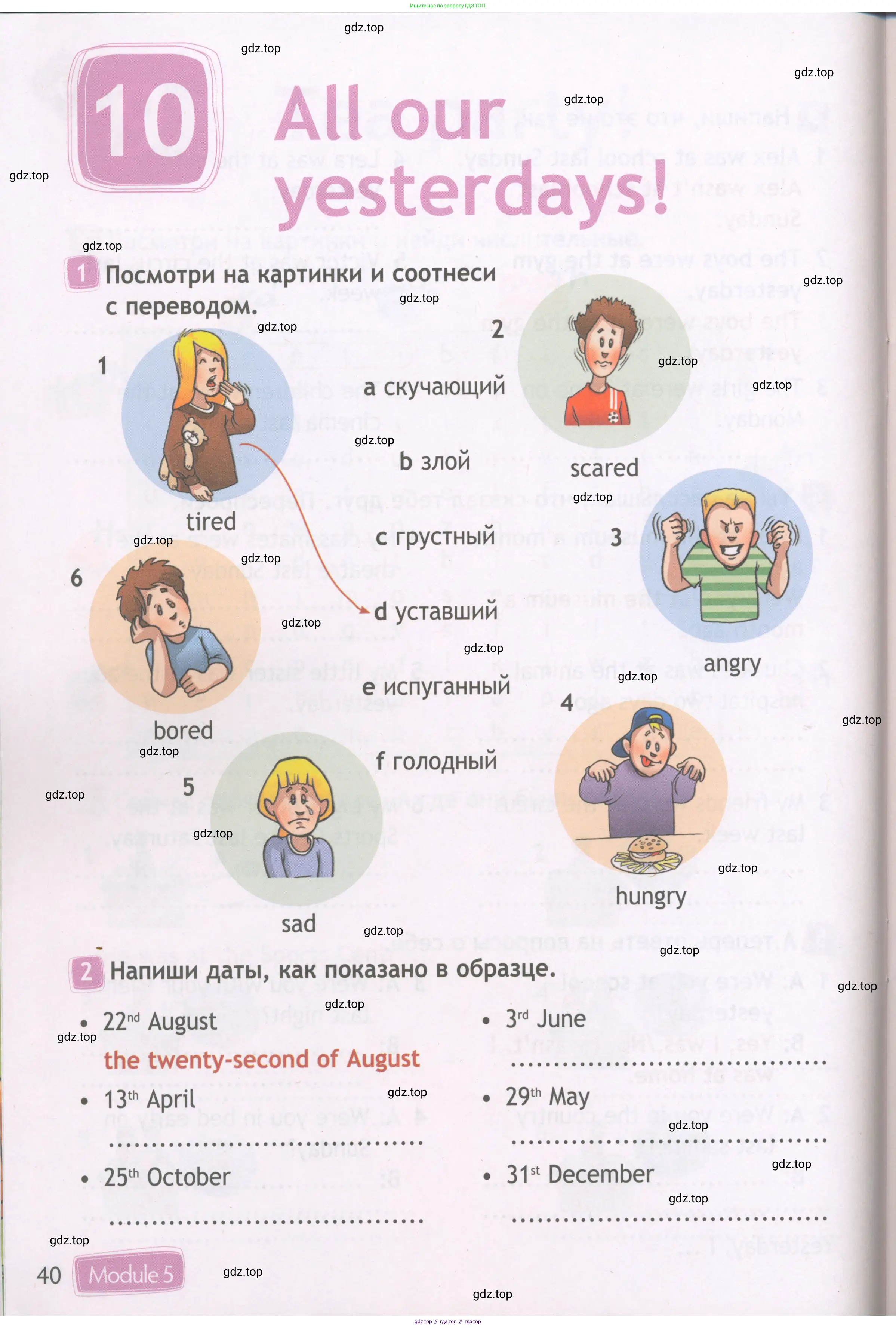 Английский язык (english), 4 класс Рабочая тетрадь (workbook), авторы: Быкова Надежда Ильинична (Bykova Nadezhda), Дули Дженни (Dooley Jenny), Поспелова Марина Давидовна (Pospelova Marina), Эванс Вирджиния (Evans Virginia), издательство Просвещение, Москва, 2023, красного цвета, страница 40