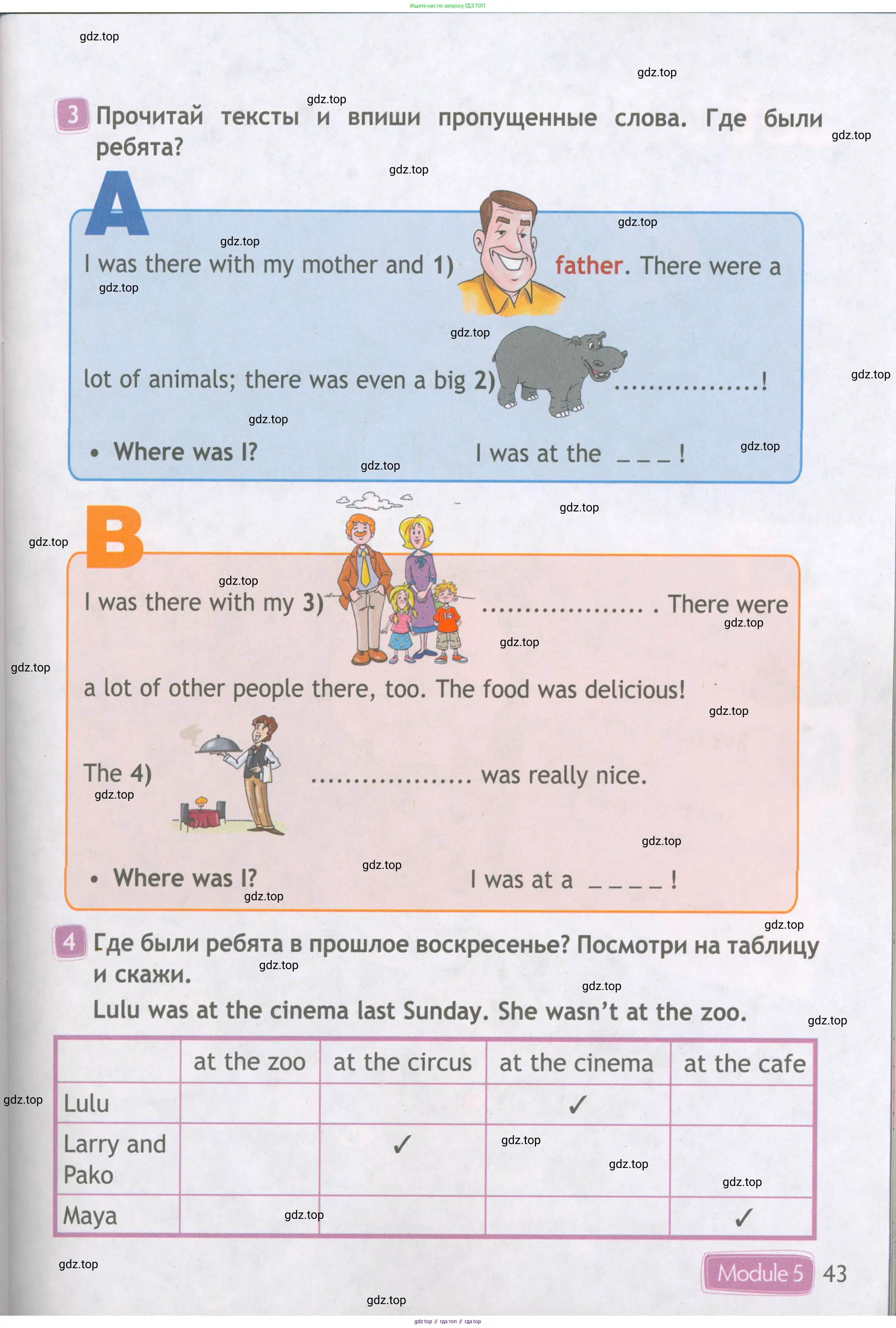 Английский язык (english), 4 класс Рабочая тетрадь (workbook), авторы: Быкова Надежда Ильинична (Bykova Nadezhda), Дули Дженни (Dooley Jenny), Поспелова Марина Давидовна (Pospelova Marina), Эванс Вирджиния (Evans Virginia), издательство Просвещение, Москва, 2023, красного цвета, страница 43