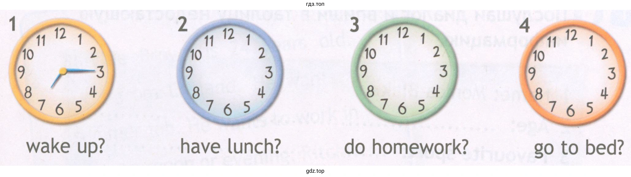 wake up? have lunch? do homework? go to bed?