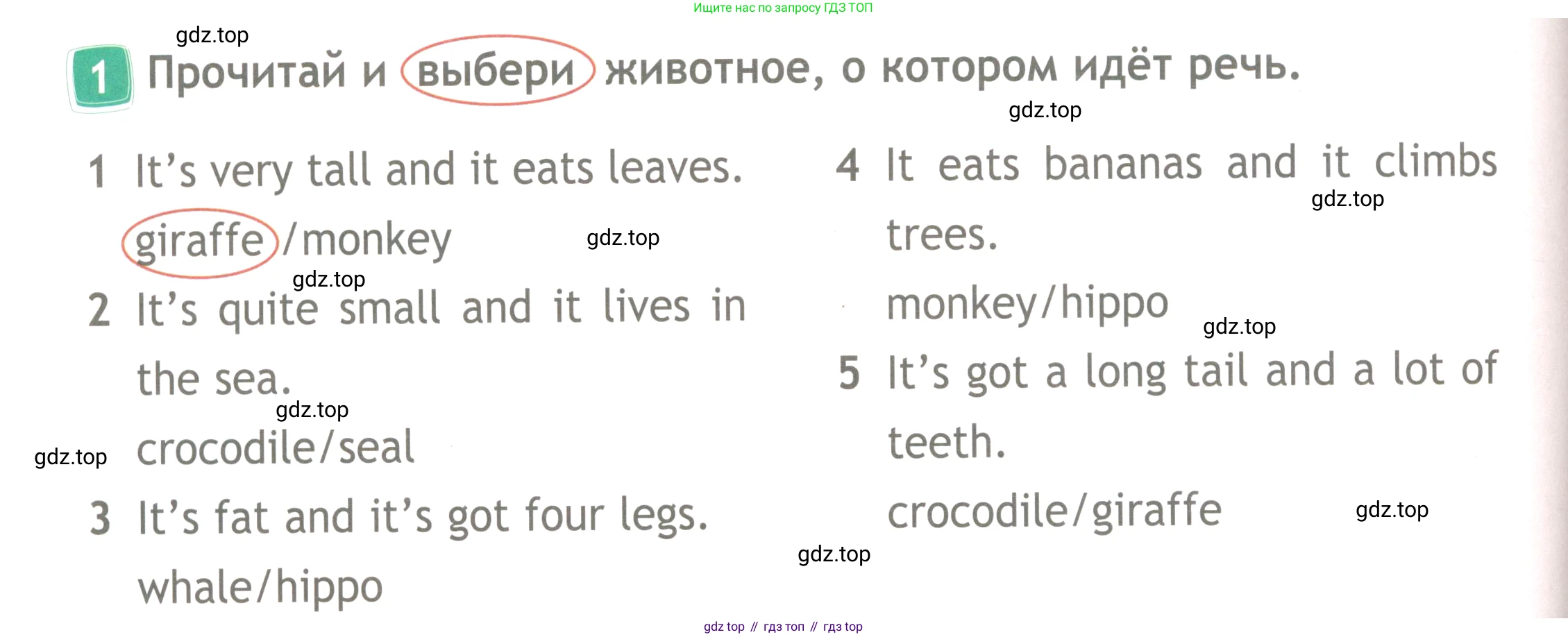 Английский язык (english), 4 класс Рабочая тетрадь (workbook), авторы: Быкова Надежда Ильинична (Bykova Nadezhda), Дули Дженни (Dooley Jenny), Поспелова Марина Давидовна (Pospelova Marina), Эванс Вирджиния (Evans Virginia), издательство Просвещение, Москва, 2023, красного цвета, страница 32, номер 1, Условие