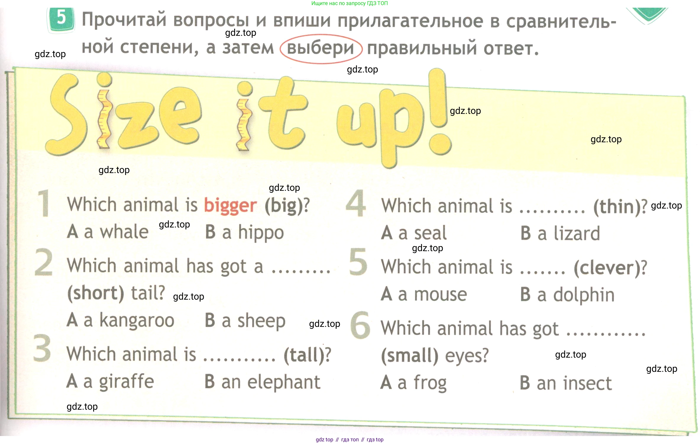 Английский язык (english), 4 класс Рабочая тетрадь (workbook), авторы: Быкова Надежда Ильинична (Bykova Nadezhda), Дули Дженни (Dooley Jenny), Поспелова Марина Давидовна (Pospelova Marina), Эванс Вирджиния (Evans Virginia), издательство Просвещение, Москва, 2023, красного цвета, страница 33, номер 5, Условие