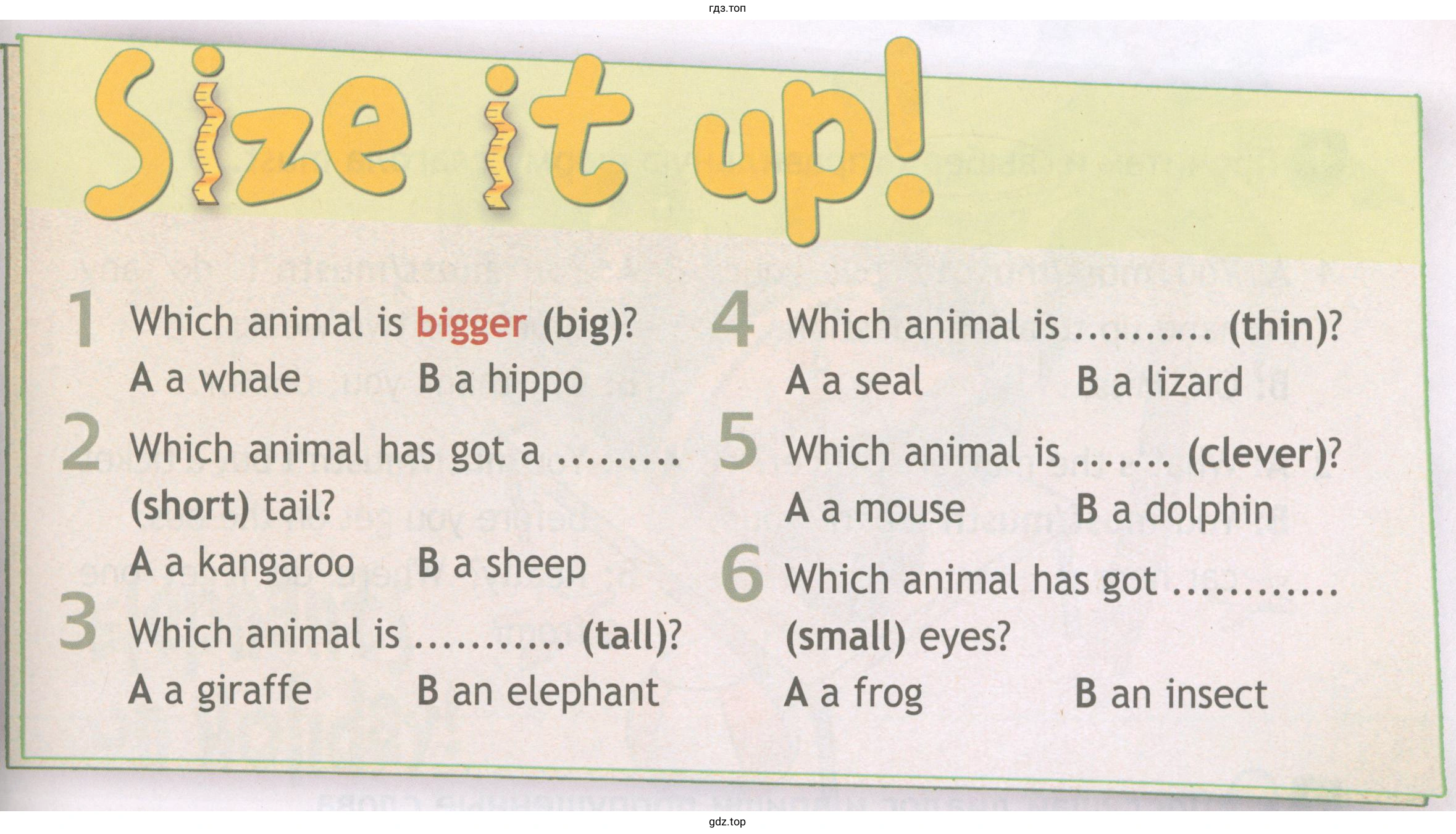 Size it up! Which animal is bigger (big)? A a whale B a hippo Which animal has got a ..... .... (short) tail? A a kangaroo B a sheep Which animal is ..... ...... (tall)? A a giraffe B an elephant Which animal is ..... ..... (thin)? A a seal B a lizard Which animal is (clever)? A a mouse B a dolphin Which animal has got (small) eyes? A a frog B an insect