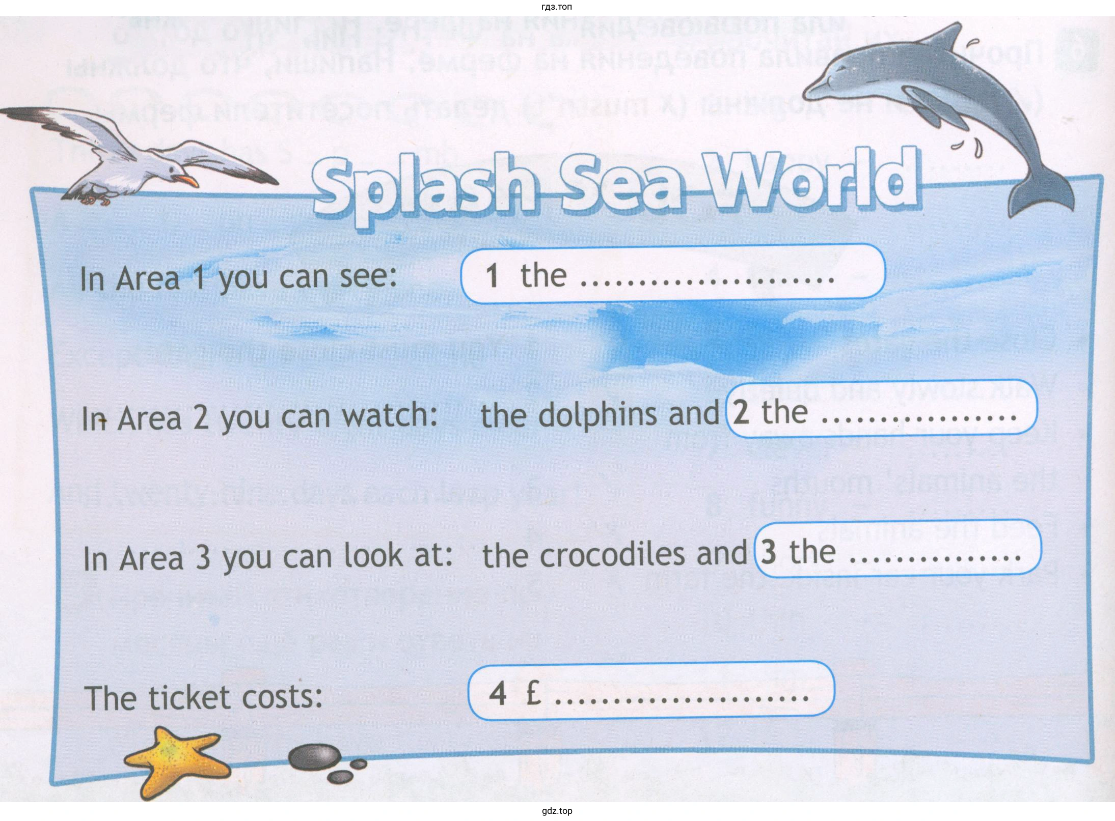 Splash Sea WorId In Area 1 you can see:In Area 2 you can watch: the dolphins and In Area 3 you can look at: the crocodiles and The ticket costs: