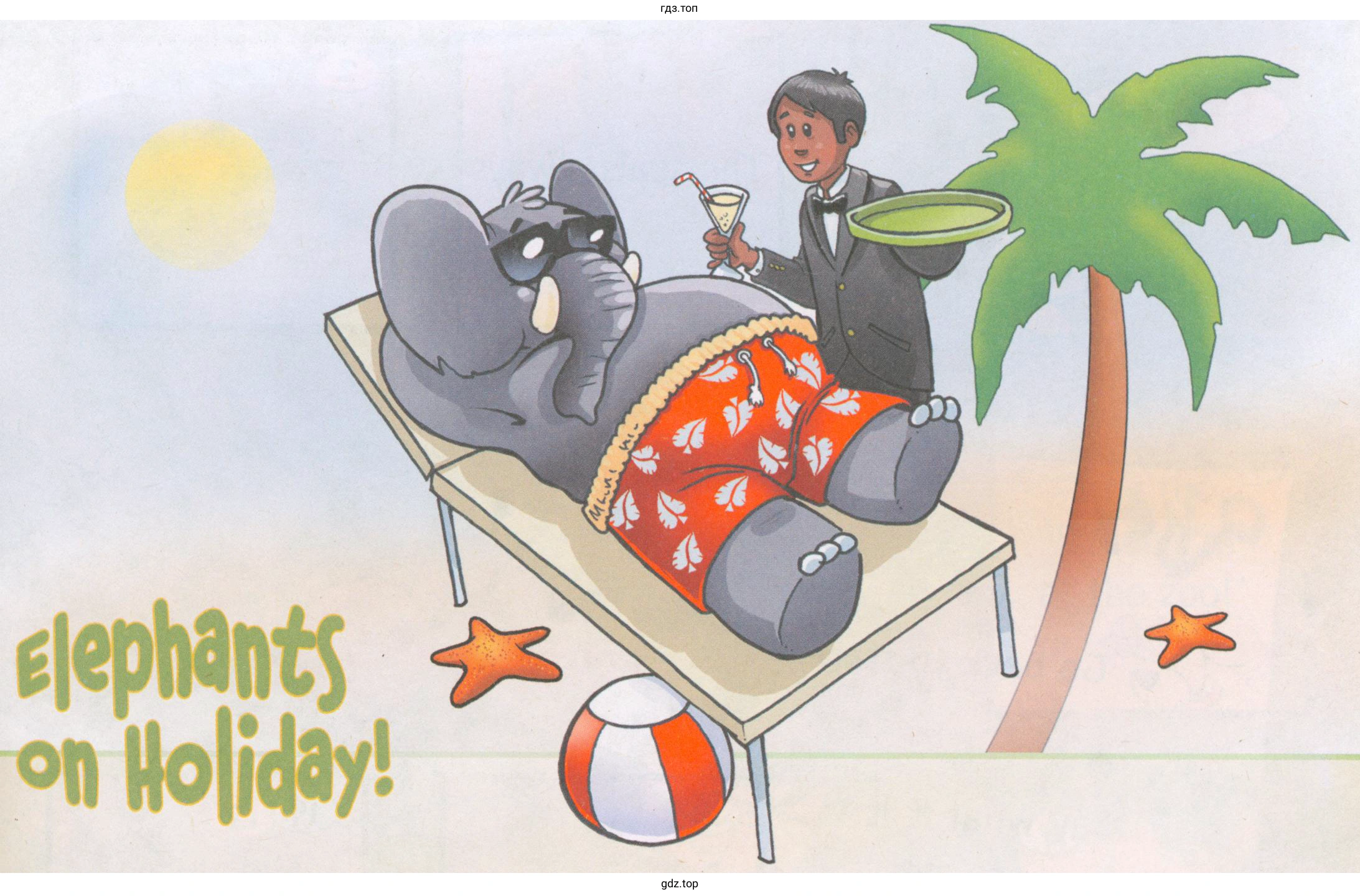 Elephants on holiday!