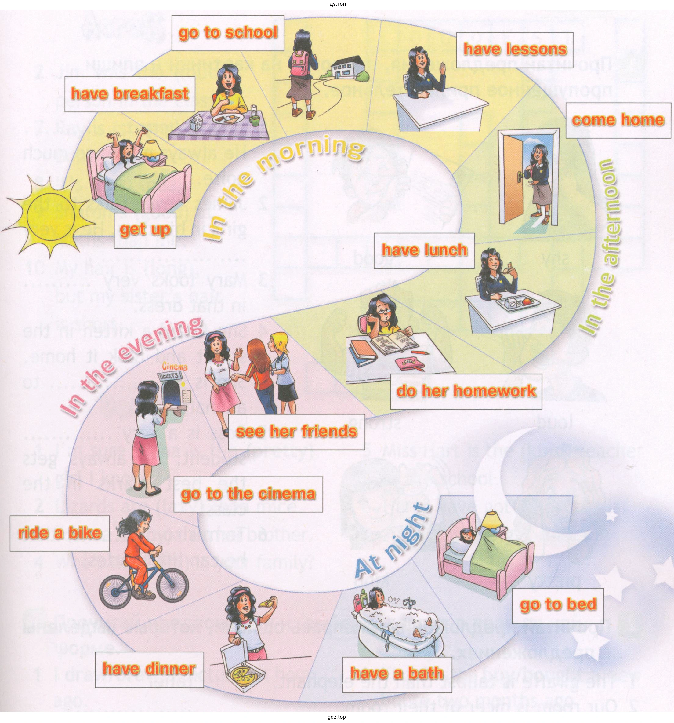 go to school have breakfast have lessons come home have lunch do her homework see her friends ride a bike have dinner go to bed