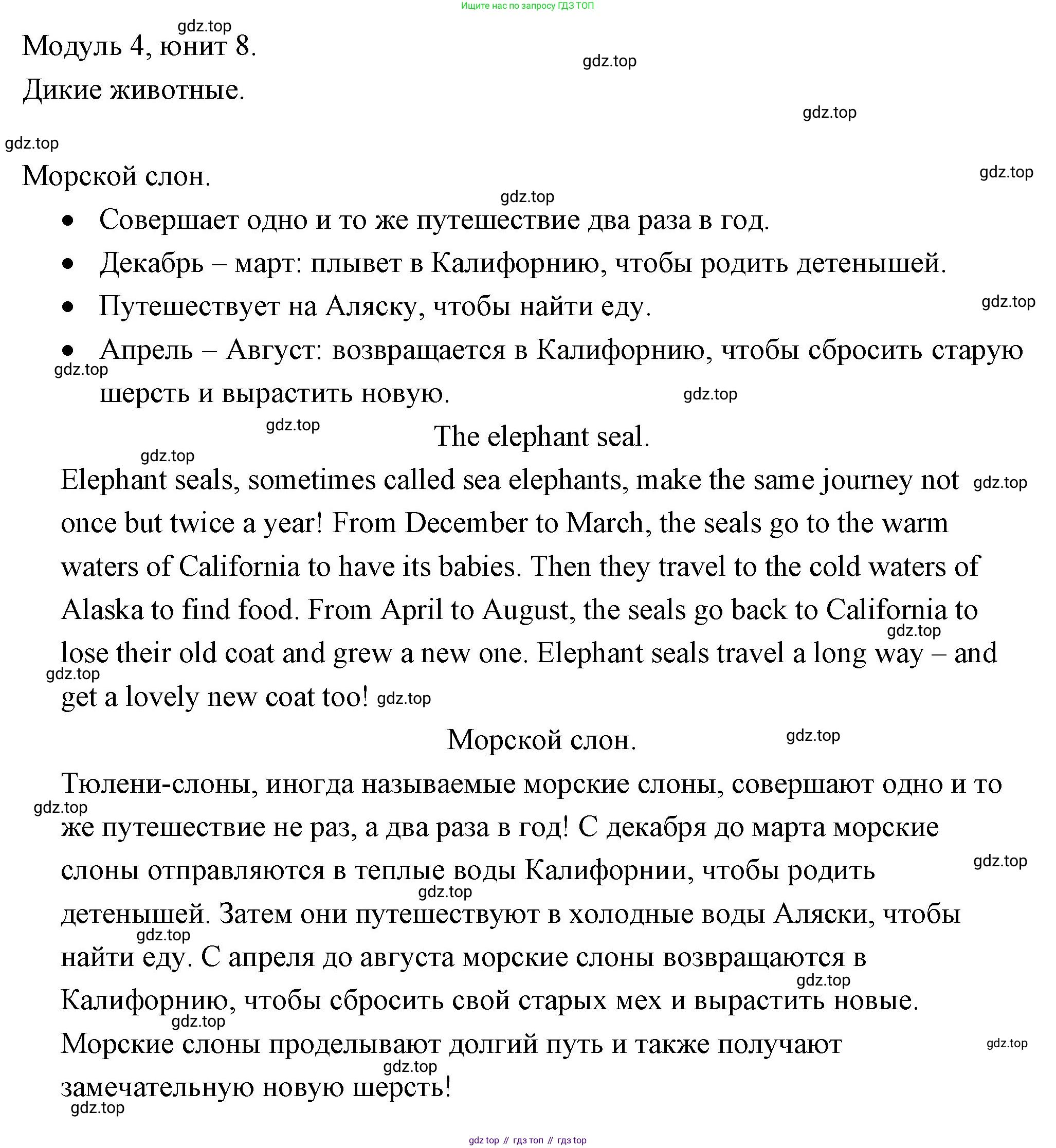 ГДЗ Английский язык (english), 4 класс Рабочая тетрадь (workbook), авторы: Быкова Надежда Ильинична (Bykova Nadezhda), Дули Дженни (Dooley Jenny), Поспелова Марина Давидовна (Pospelova Marina), Эванс Вирджиния (Evans Virginia), издательство Просвещение, Москва, 2023, красного цвета, страница 74, Решение 1