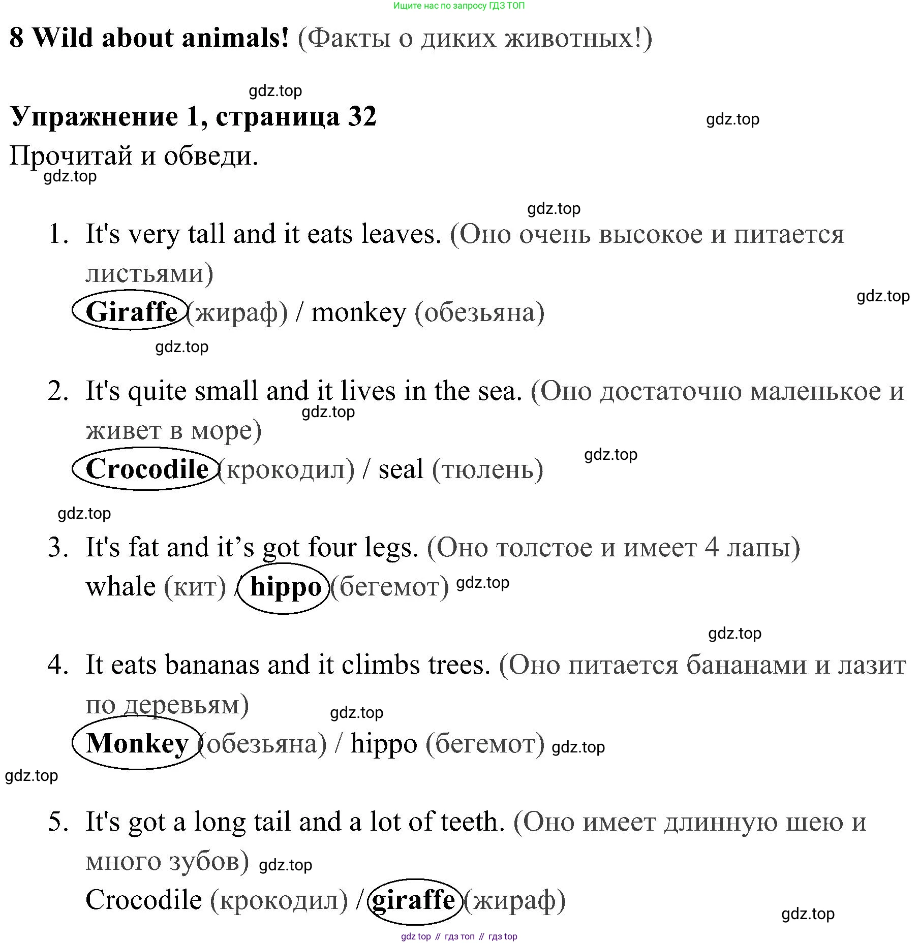 Английский язык (english), 4 класс Рабочая тетрадь (workbook), авторы: Быкова Надежда Ильинична (Bykova Nadezhda), Дули Дженни (Dooley Jenny), Поспелова Марина Давидовна (Pospelova Marina), Эванс Вирджиния (Evans Virginia), издательство Просвещение, Москва, 2023, красного цвета, страница 32, номер 1, Решение 2
