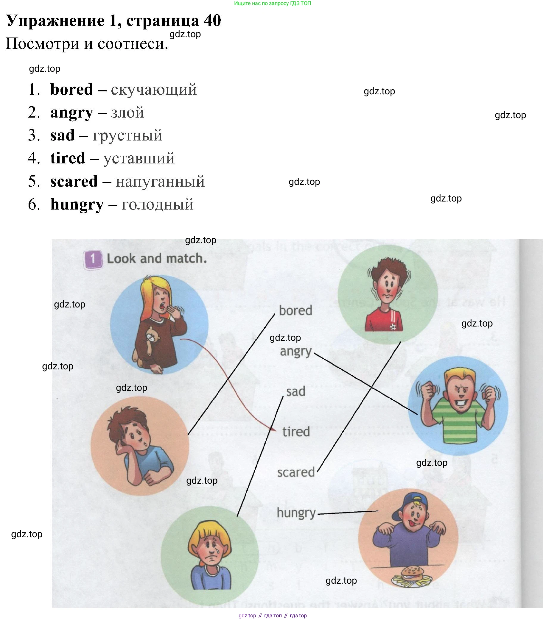 Английский язык (english), 4 класс Рабочая тетрадь (workbook), авторы: Быкова Надежда Ильинична (Bykova Nadezhda), Дули Дженни (Dooley Jenny), Поспелова Марина Давидовна (Pospelova Marina), Эванс Вирджиния (Evans Virginia), издательство Просвещение, Москва, 2023, красного цвета, страница 40, номер 1, Решение 2