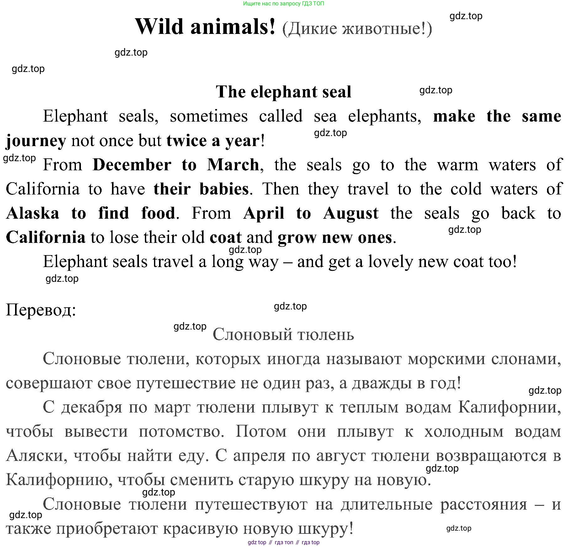 ГДЗ Английский язык (english), 4 класс Рабочая тетрадь (workbook), авторы: Быкова Надежда Ильинична (Bykova Nadezhda), Дули Дженни (Dooley Jenny), Поспелова Марина Давидовна (Pospelova Marina), Эванс Вирджиния (Evans Virginia), издательство Просвещение, Москва, 2023, красного цвета, страница 74, Решение 2