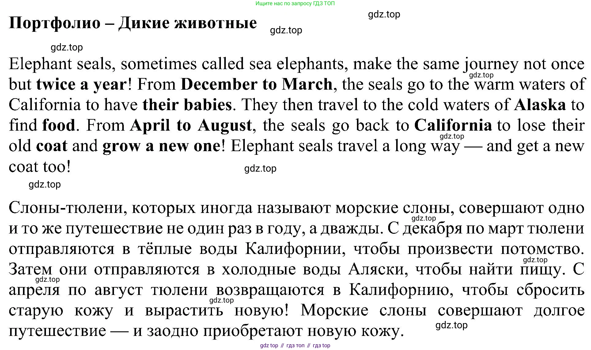 ГДЗ Английский язык (english), 4 класс Рабочая тетрадь (workbook), авторы: Быкова Надежда Ильинична (Bykova Nadezhda), Дули Дженни (Dooley Jenny), Поспелова Марина Давидовна (Pospelova Marina), Эванс Вирджиния (Evans Virginia), издательство Просвещение, Москва, 2023, красного цвета, страница 74, Решение 3