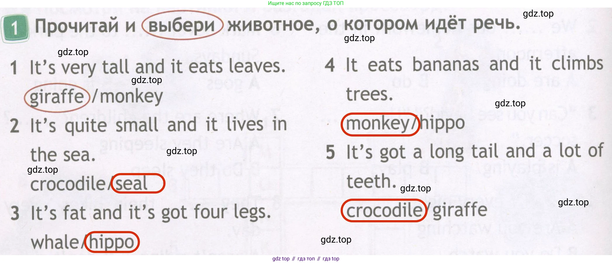 Английский язык (english), 4 класс Рабочая тетрадь (workbook), авторы: Быкова Надежда Ильинична (Bykova Nadezhda), Дули Дженни (Dooley Jenny), Поспелова Марина Давидовна (Pospelova Marina), Эванс Вирджиния (Evans Virginia), издательство Просвещение, Москва, 2023, красного цвета, страница 32, номер 1, Решение 4