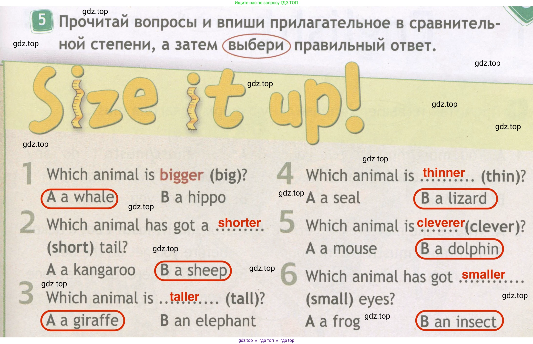 Английский язык (english), 4 класс Рабочая тетрадь (workbook), авторы: Быкова Надежда Ильинична (Bykova Nadezhda), Дули Дженни (Dooley Jenny), Поспелова Марина Давидовна (Pospelova Marina), Эванс Вирджиния (Evans Virginia), издательство Просвещение, Москва, 2023, красного цвета, страница 33, номер 5, Решение 4