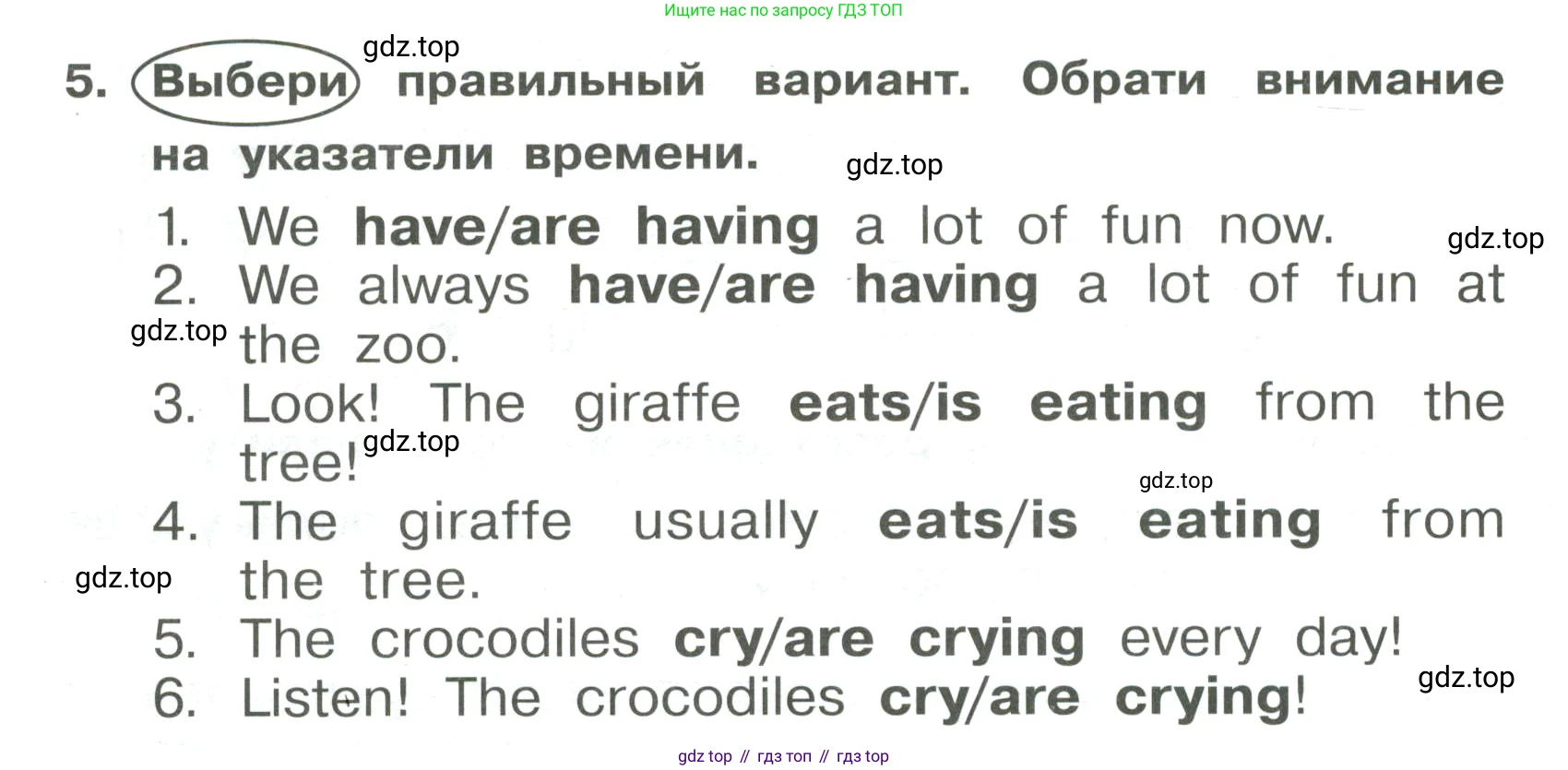 Английский язык (english), 4 класс Сборник упражнений, авторы: Быкова Надежда Ильинична (Bykova Nadezhda), Поспелова Марина Давидовна (Pospelova Marina), издательство Просвещение, Москва, 2023, оранжевого цвета, страница 64, номер 5, Условие