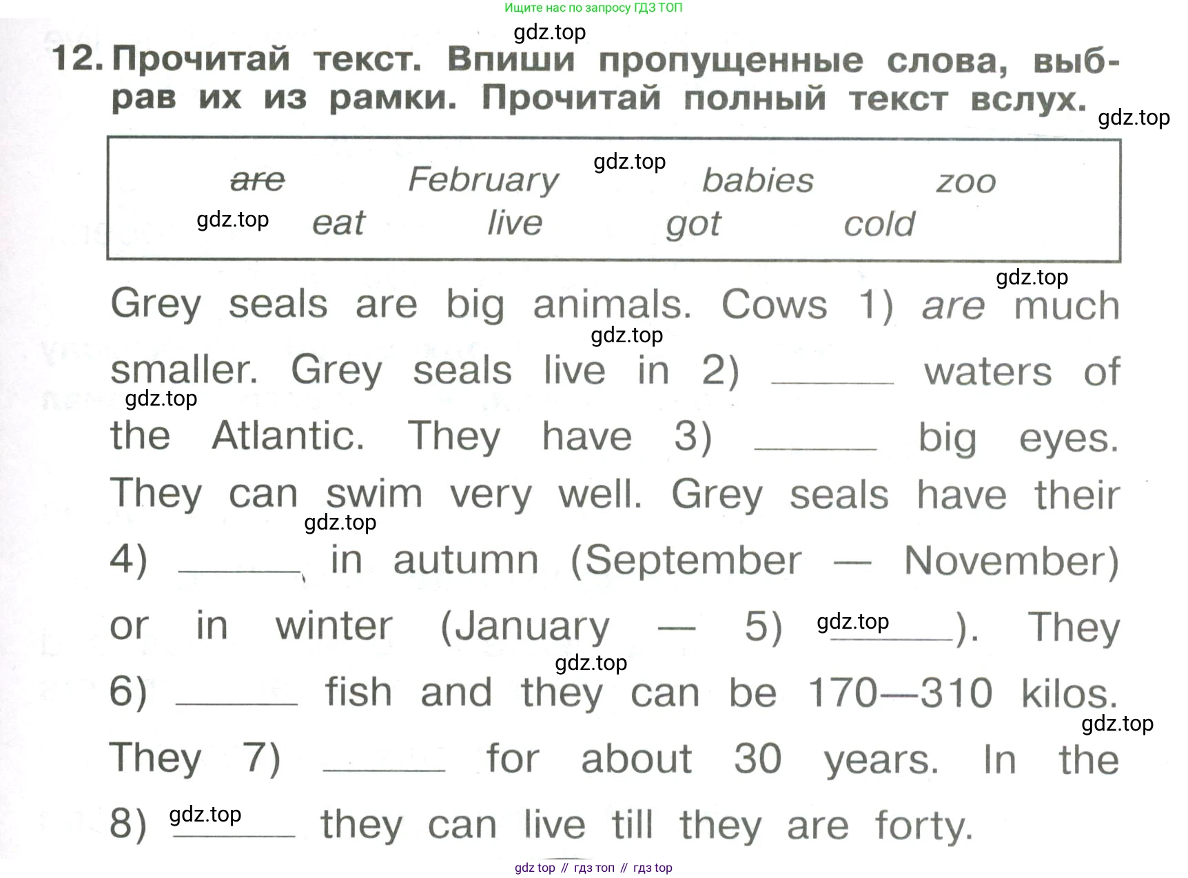 Английский язык (english), 4 класс Сборник упражнений, авторы: Быкова Надежда Ильинична (Bykova Nadezhda), Поспелова Марина Давидовна (Pospelova Marina), издательство Просвещение, Москва, 2023, оранжевого цвета, страница 73, номер 12, Условие
