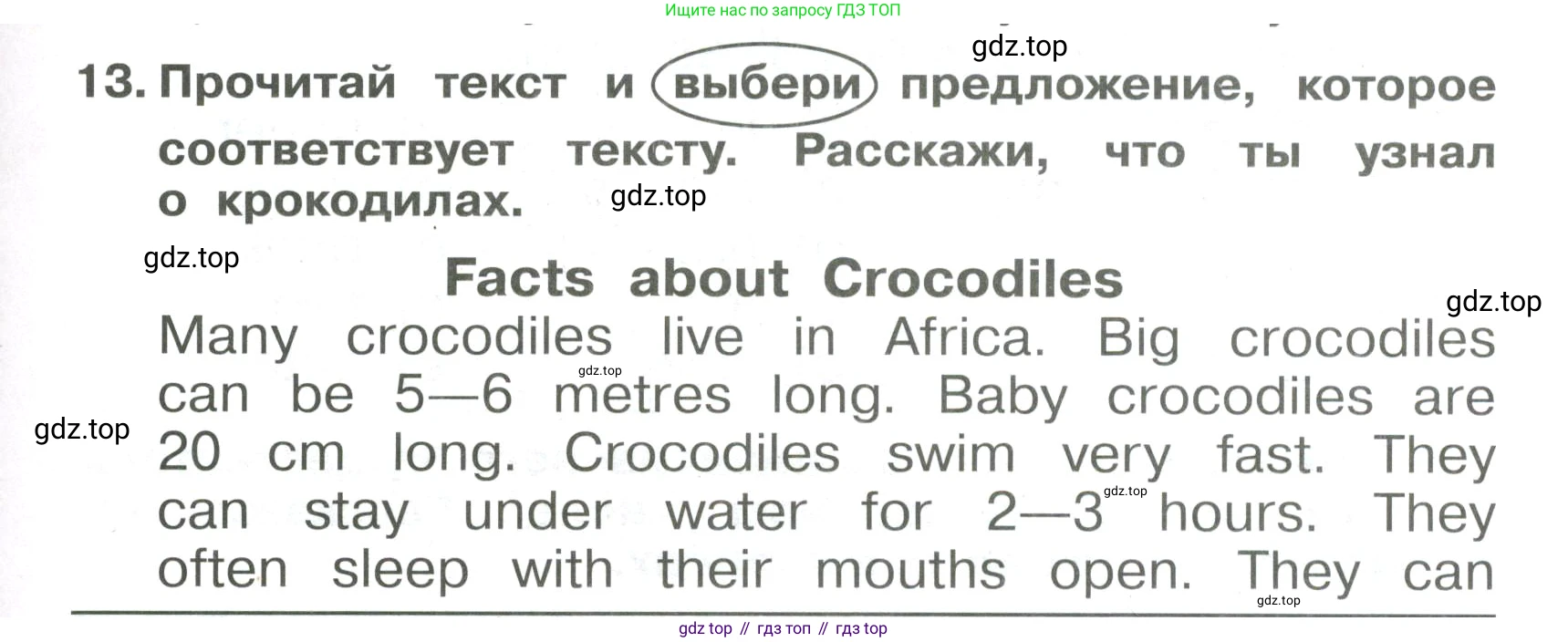 Английский язык (english), 4 класс Сборник упражнений, авторы: Быкова Надежда Ильинична (Bykova Nadezhda), Поспелова Марина Давидовна (Pospelova Marina), издательство Просвещение, Москва, 2023, оранжевого цвета, страница 73, номер 13, Условие