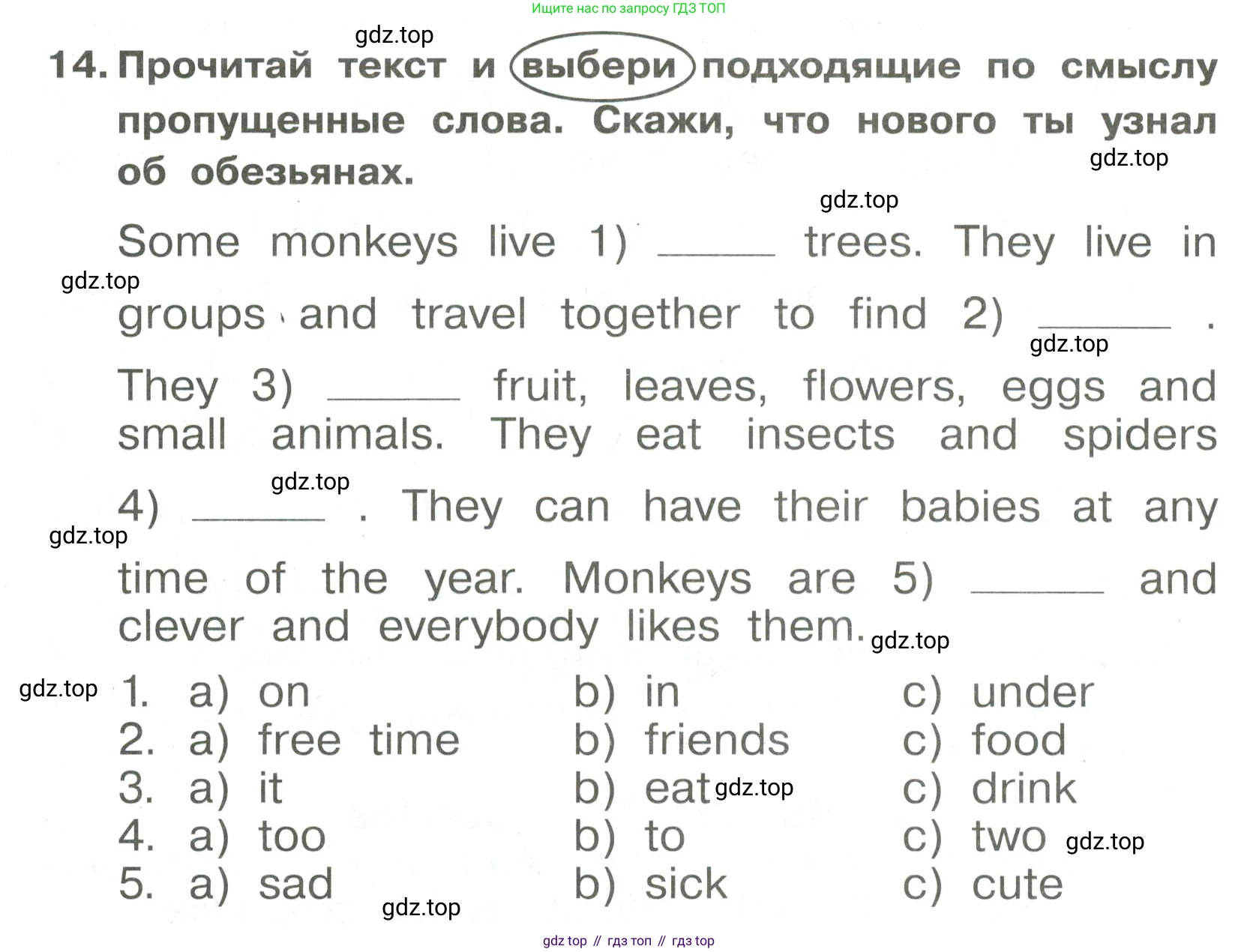 Английский язык (english), 4 класс Сборник упражнений, авторы: Быкова Надежда Ильинична (Bykova Nadezhda), Поспелова Марина Давидовна (Pospelova Marina), издательство Просвещение, Москва, 2023, оранжевого цвета, страница 74, номер 14, Условие